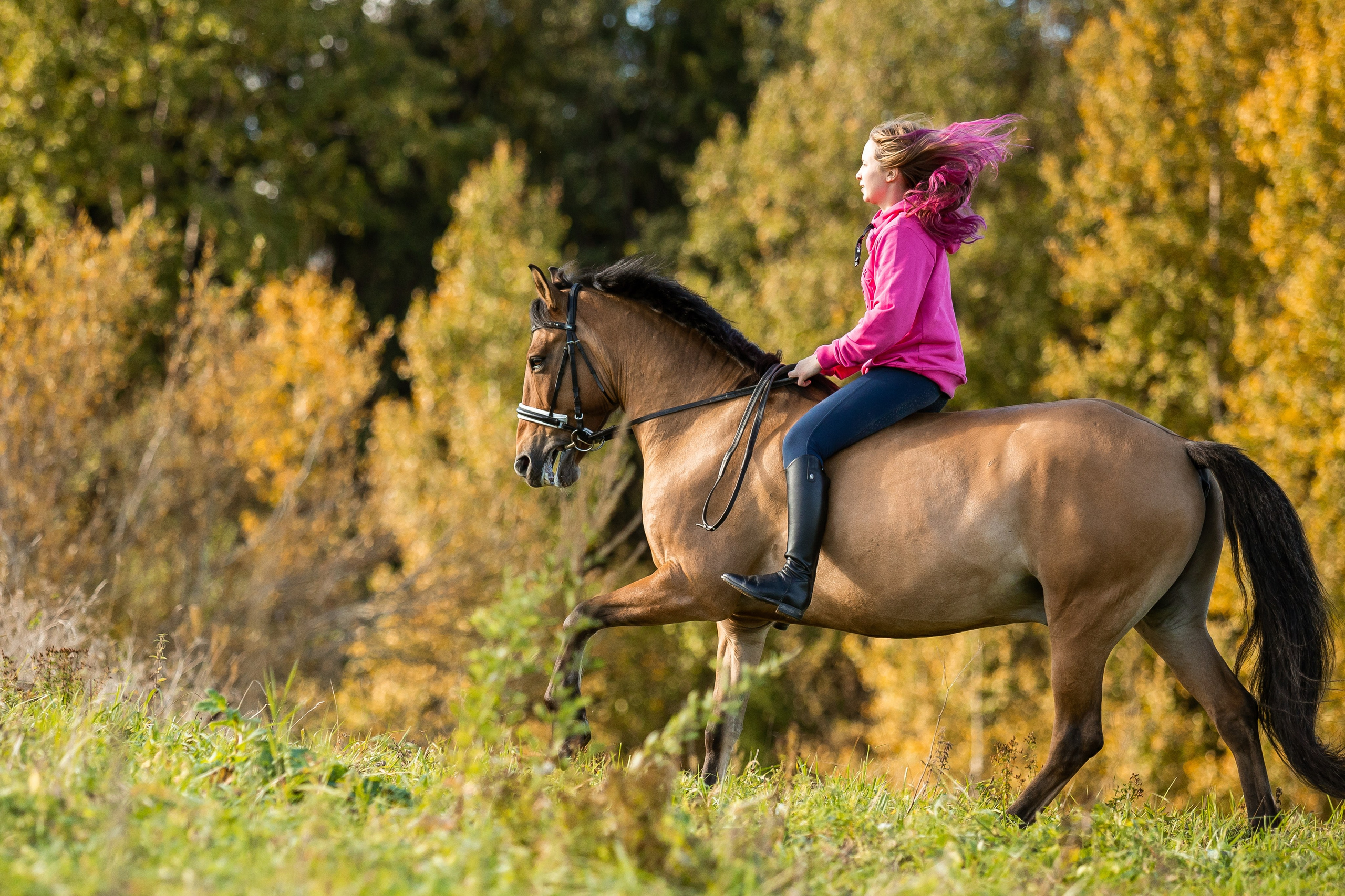 ФОТОСЕССИИ С ЖИВОТНЫМИ. Свадебный фотограф Санкт-Петербург Катерина Ширяева
