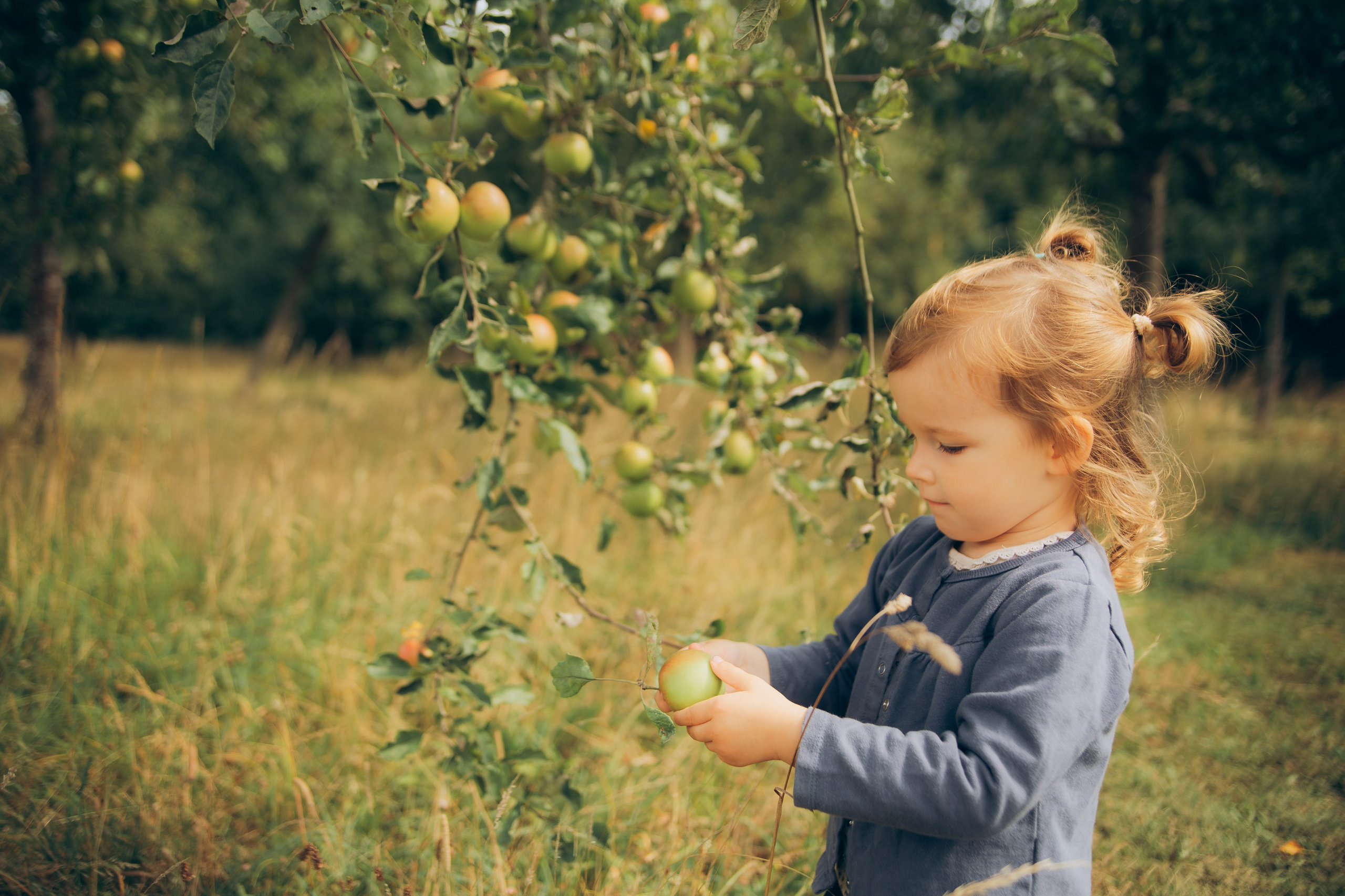 Photographe des familles et enfants à Nantes et alentours