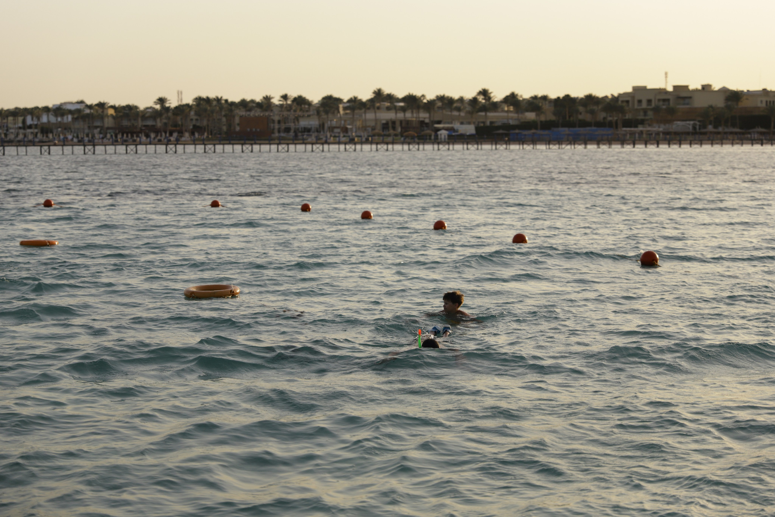 Шарм-Эль-Шейх. Светлана Иванова - профессиональный фотограф