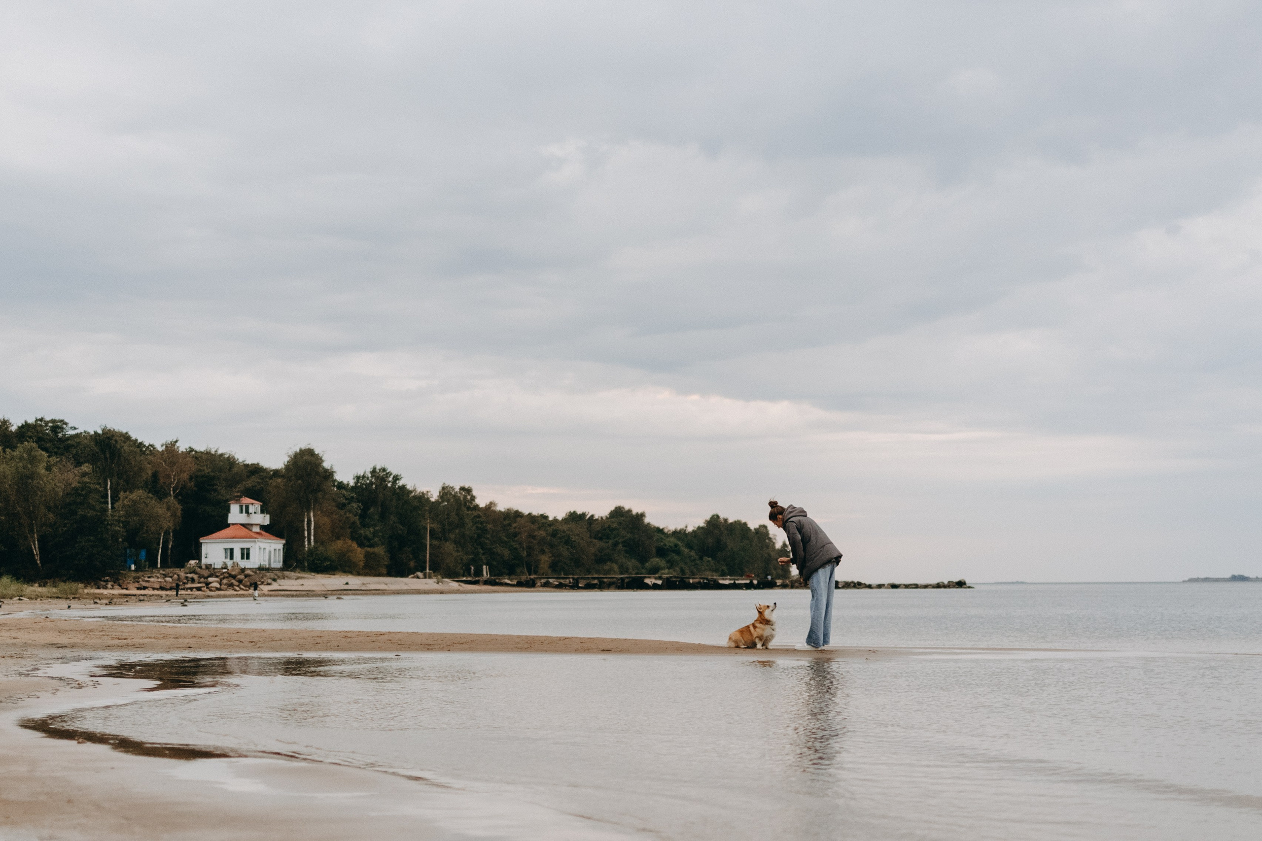 Лиза и Бакс. Фотограф — Анималист | Санкт-Петербург