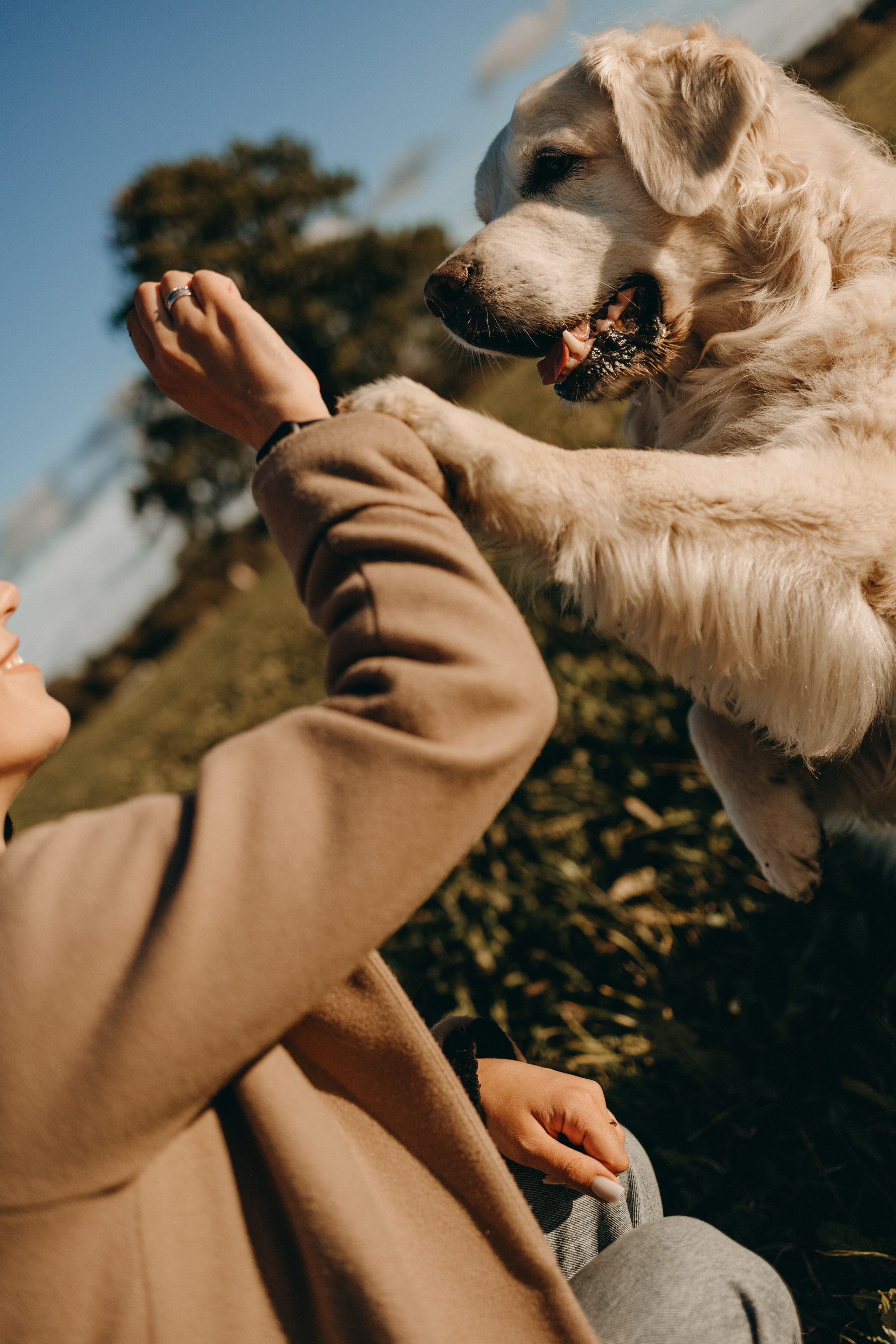 Лера и Скай. Фотограф — Анималист | Санкт-Петербург