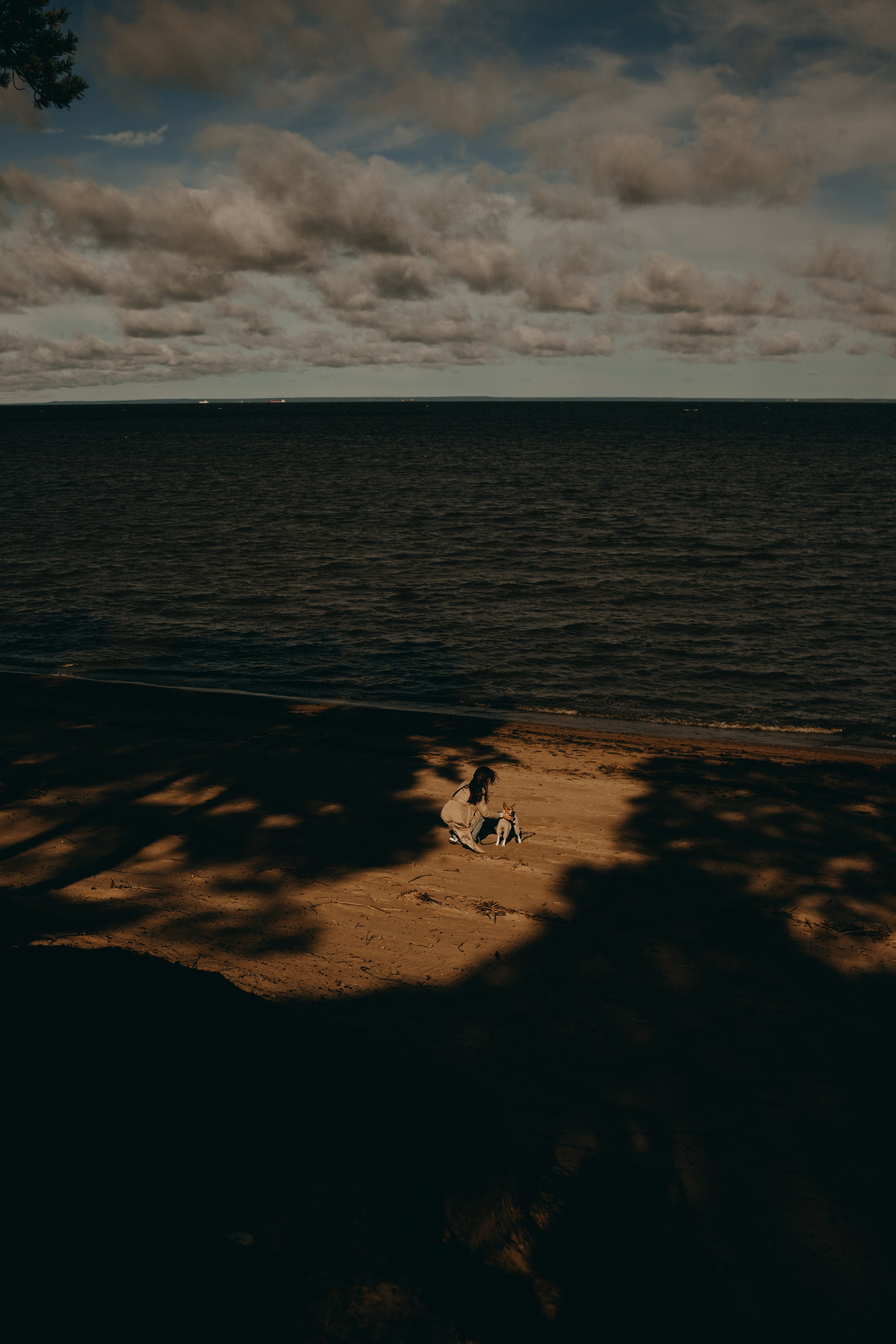 Алиса и Лео. Фотограф — Анималист | Санкт-Петербург