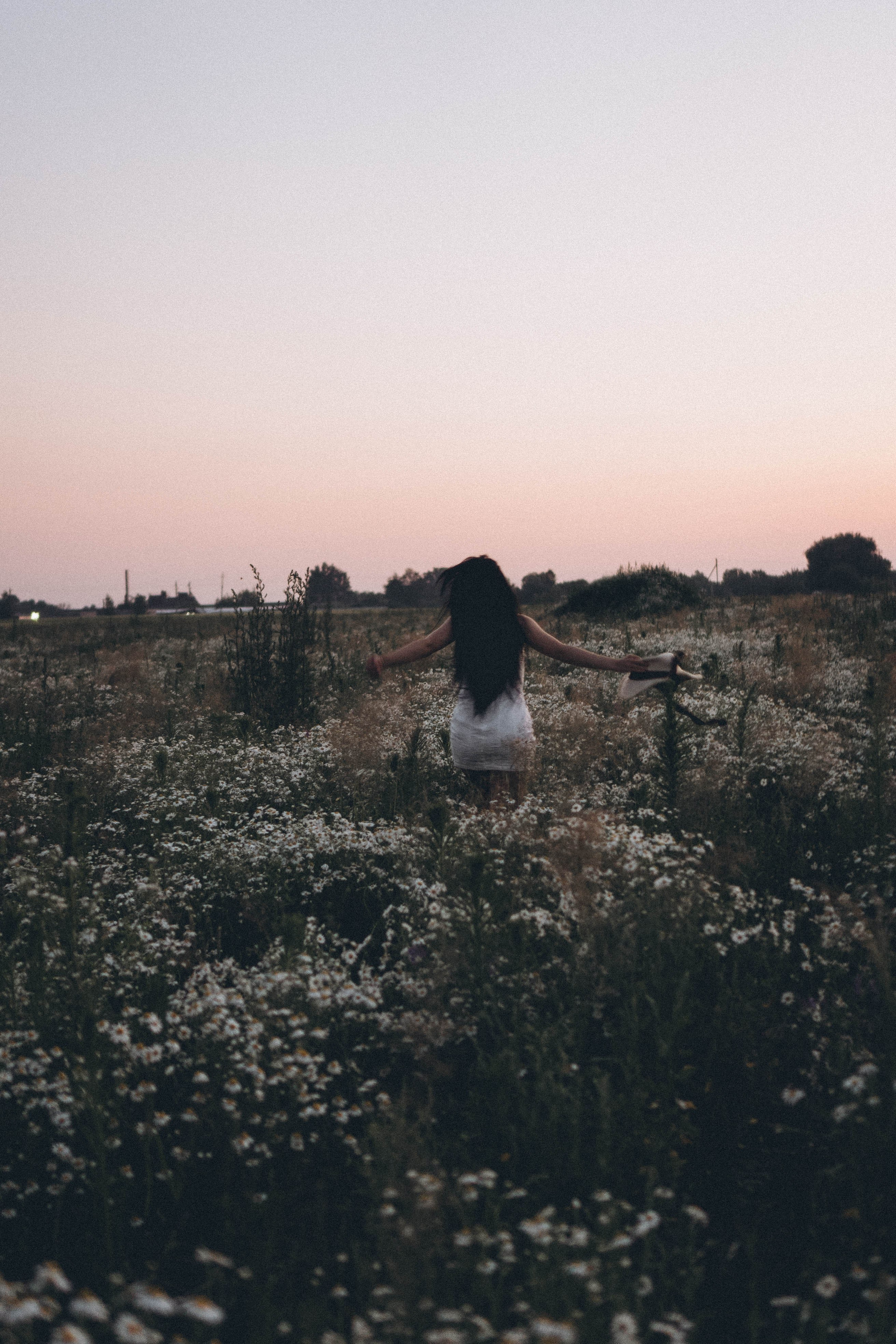 Ромашковое поле. Профессиональный фотограф, Санкт-Петербург — Виктория Богомолова