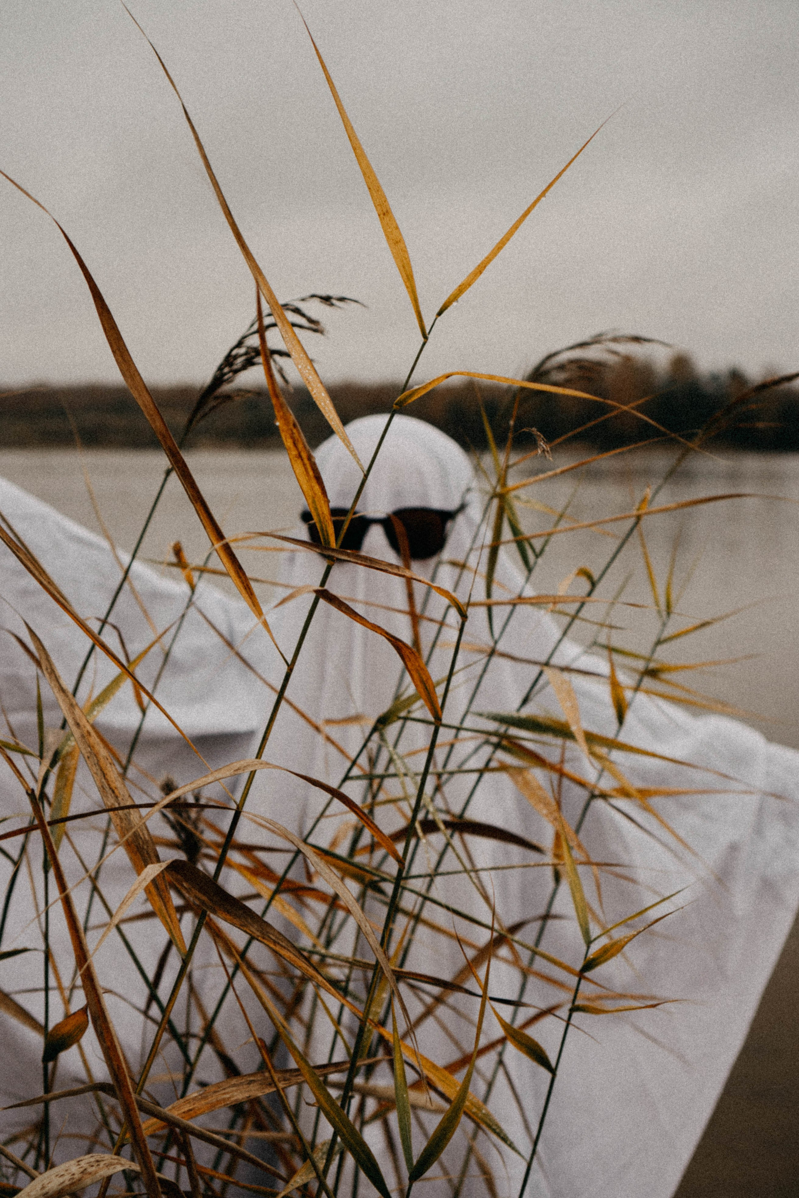Осеняя. Профессиональный фотограф, Санкт-Петербург — Виктория Богомолова