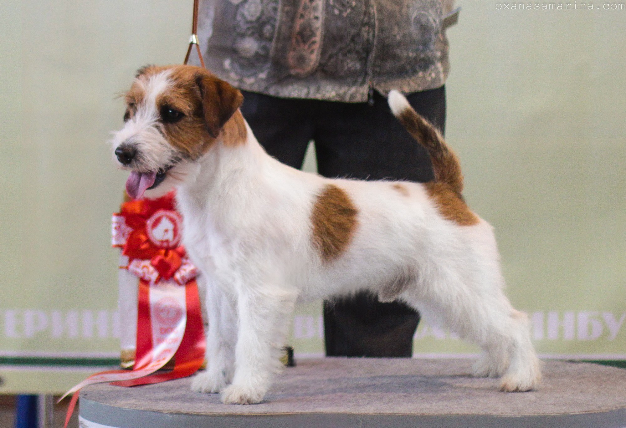 Port Fortis Rock-N-Roll