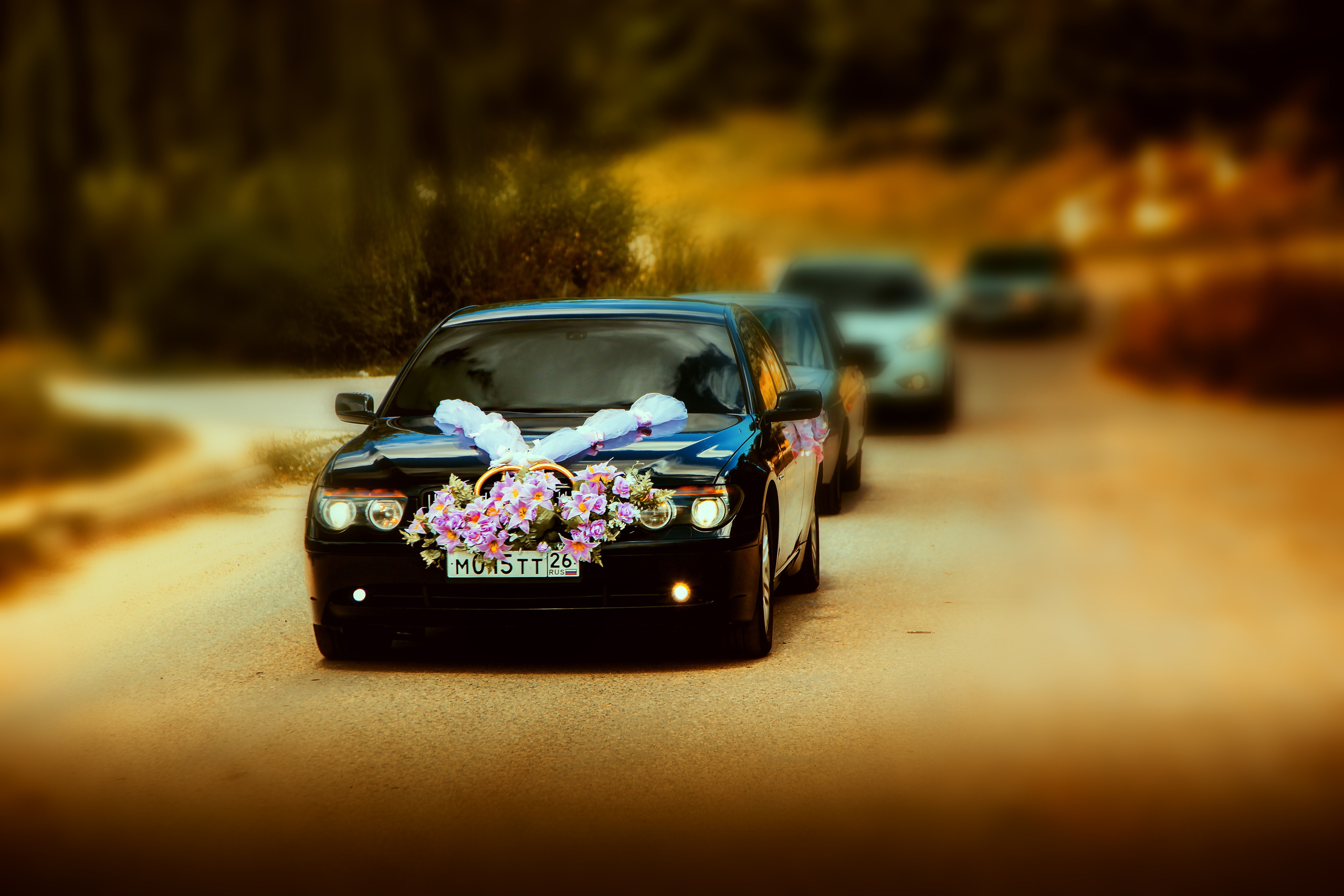 Свадебный фотограф в Минеральных Водах. Медиапродюсер, фотограф в Минеральных Водах —Виктор Холодов
