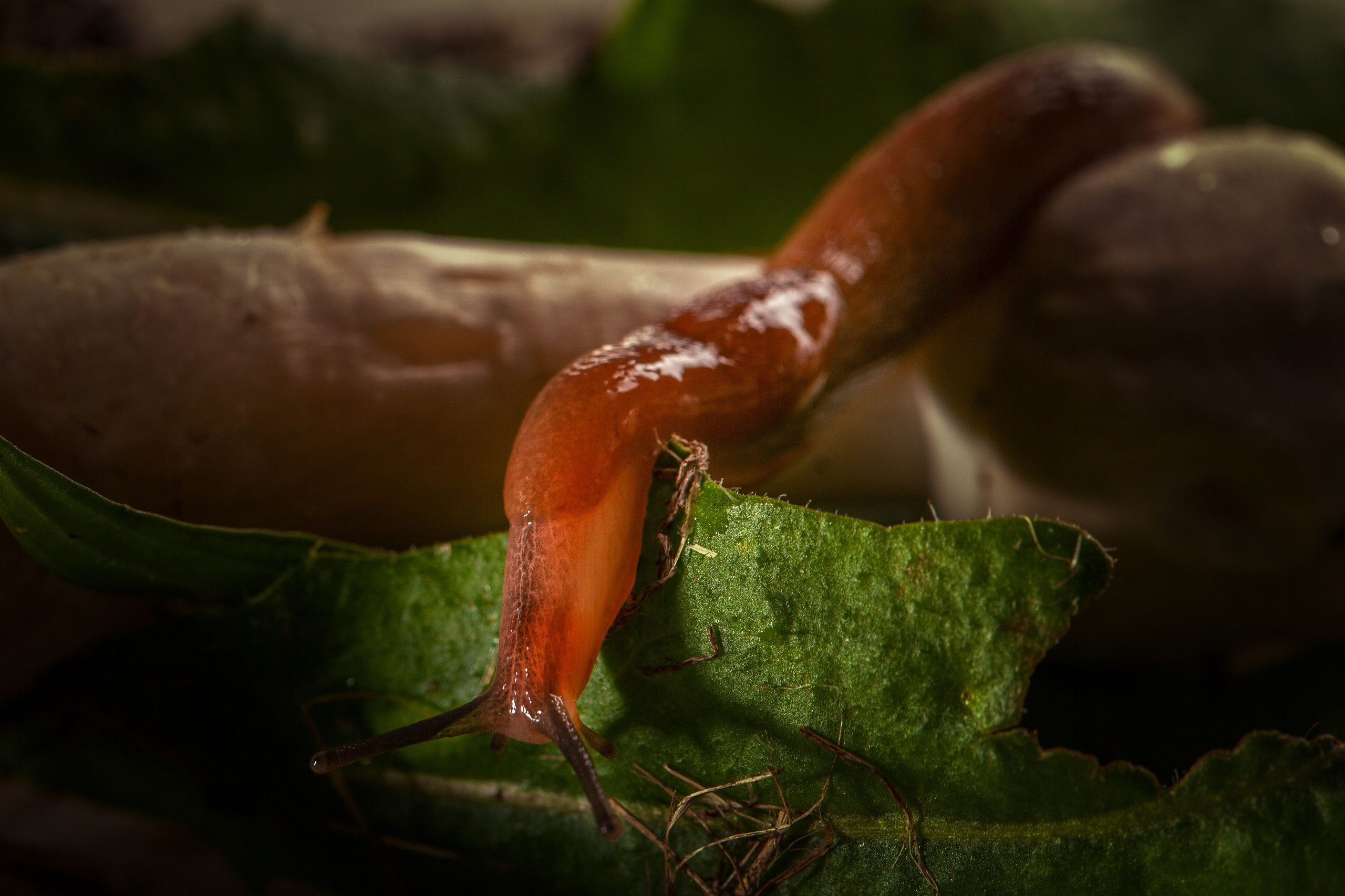 Красота вокруг нас. Медиапродюсер, фотограф в Минеральных Водах —Виктор Холодов