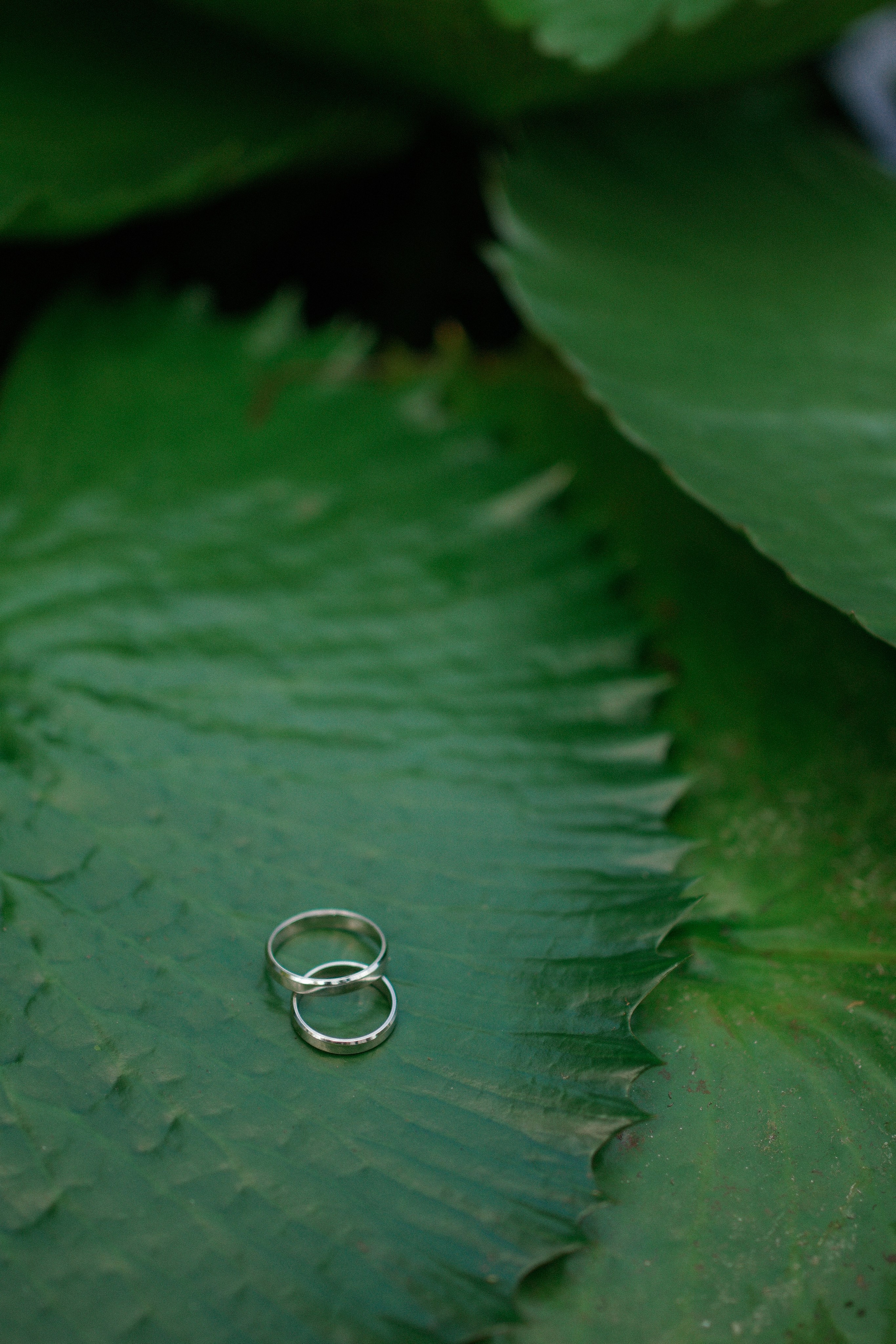 Данил и Валерия. Свадебный и семейный фотограф Афанасьева Анна в Кисловодске