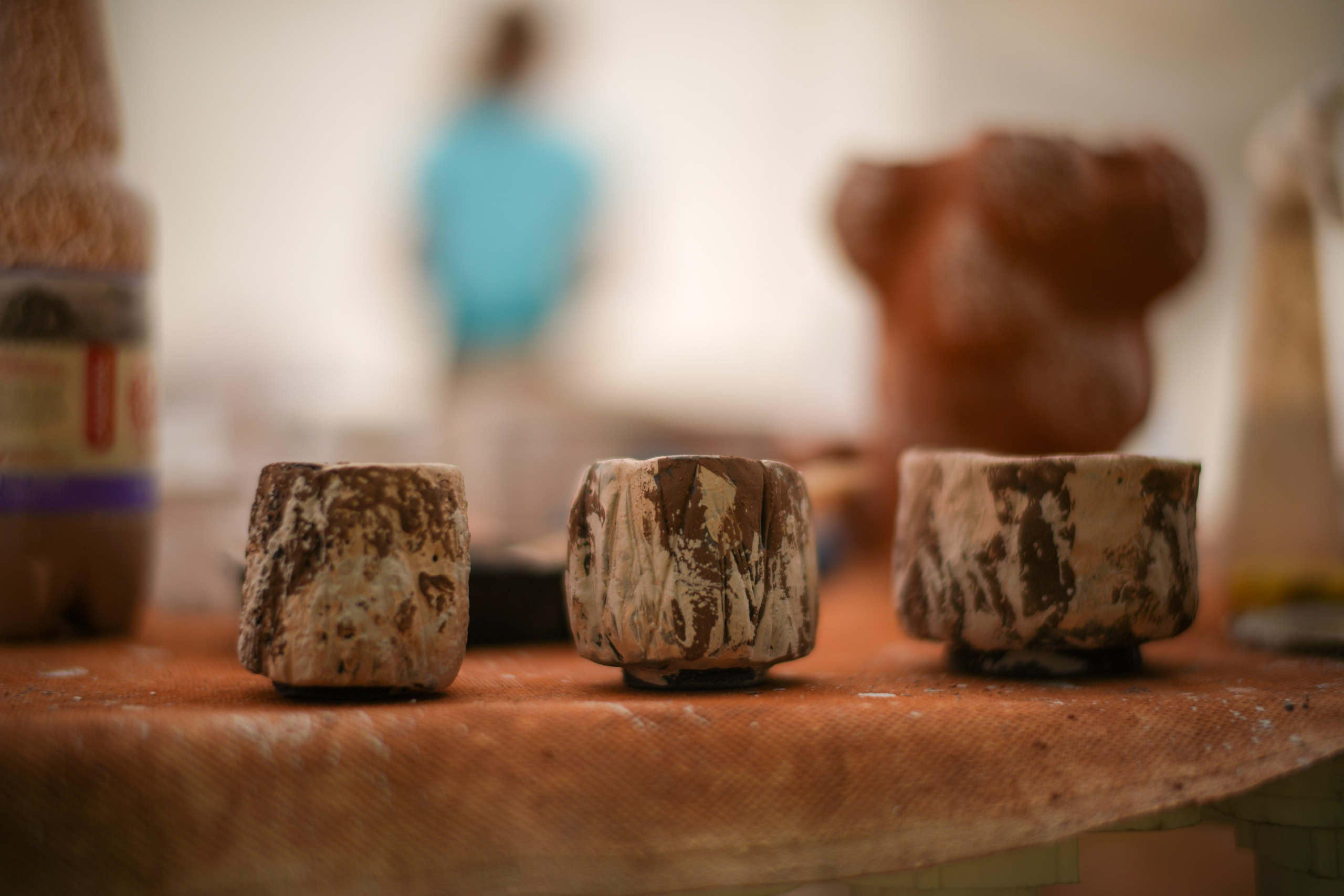 Wild fire 2024 — Дикий огонь 2024