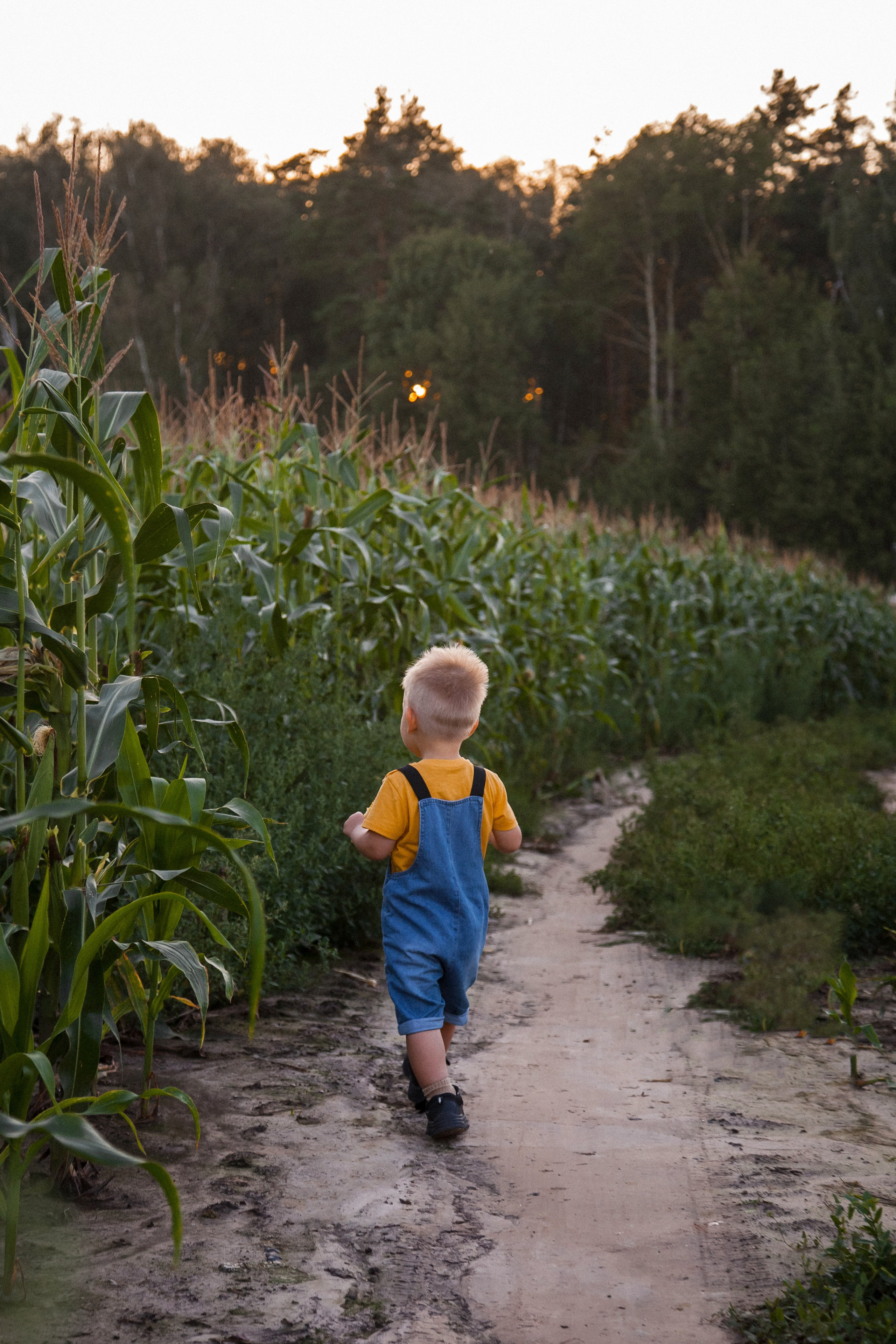 Миша и Маша. Портретный, семейный, свадебный фотограф в Брянске Маргарита Василькова