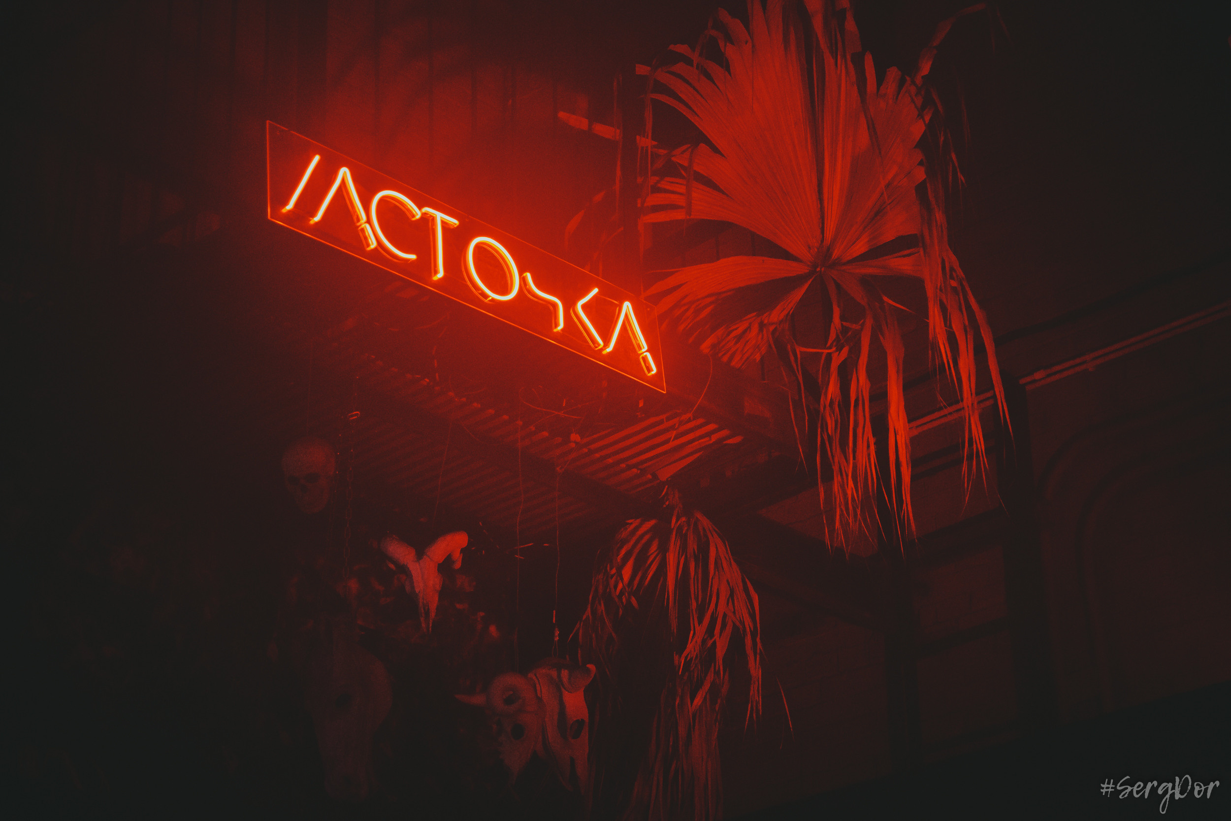 Дайте два, Ласточка, Санкт-Петербург, Люся Махова, Тёща, 15 лет, 24.11.2022, SergDor, 24 ноября 2022 года, #SergDor