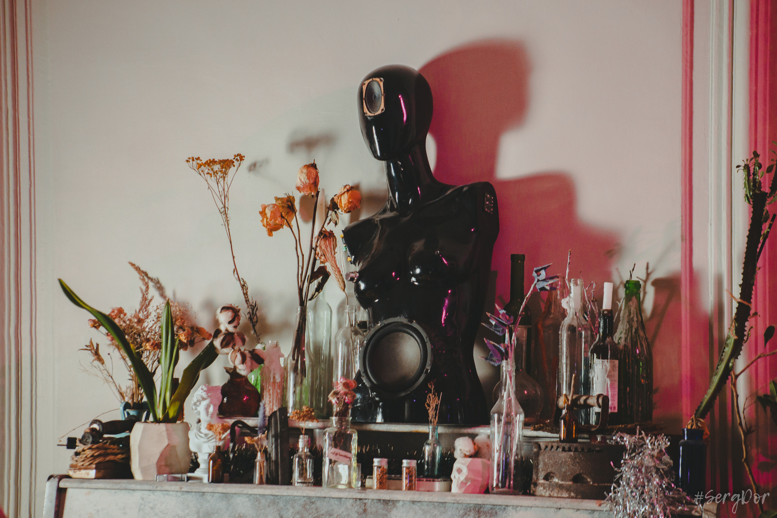 Екатерина Яшникова, Триглинки, Triglinki, акустика, квартирник, Санкт-Петербург, СПб, концерт, 21.01.2023, SergDor, 21 января 2023 года, #SergDor