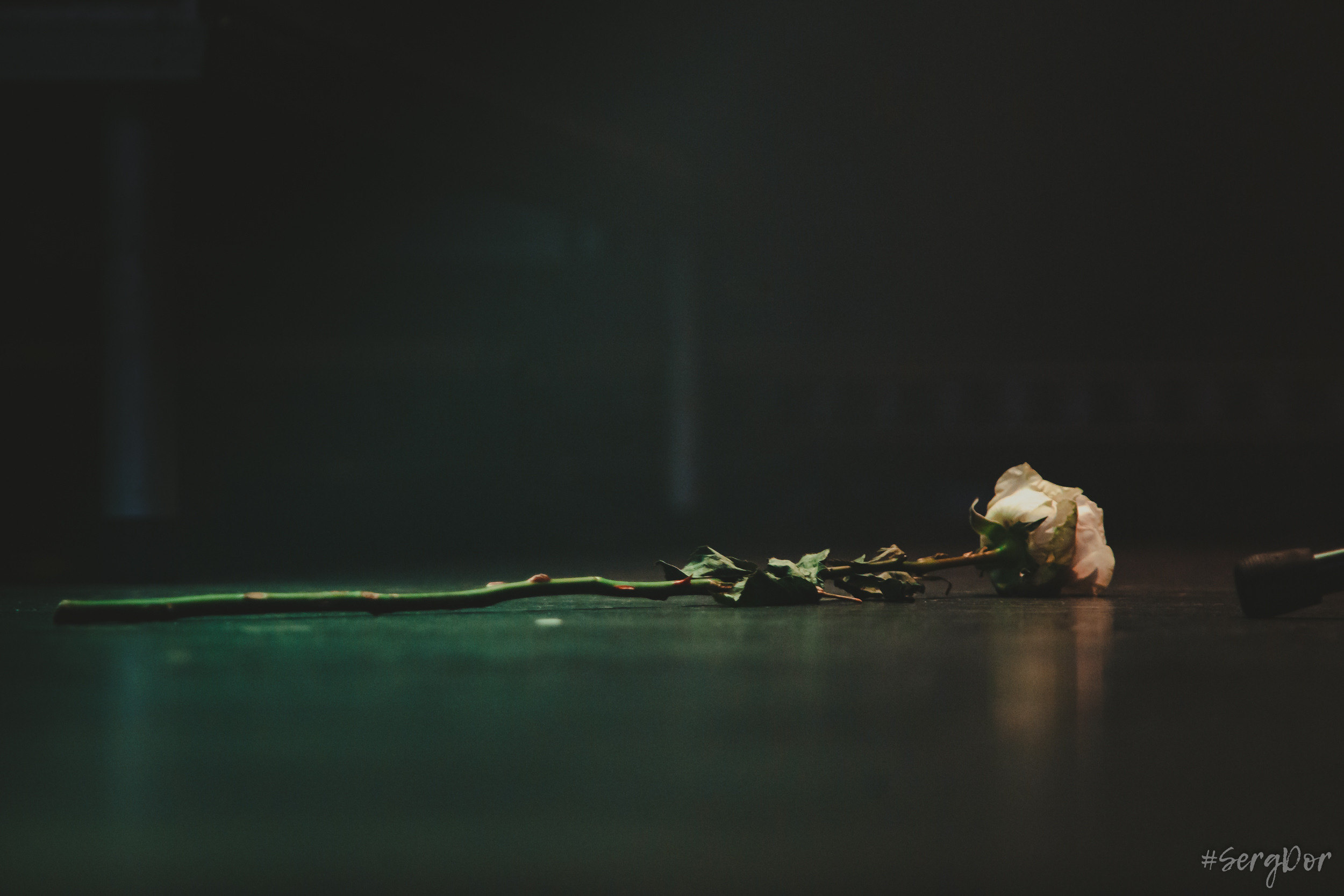 FPG, F.P.G, Известия Hall, 26.11.2022, SergDor, день рождения, бунтари 24/7, fairplaygang, fair play gang, дерзость и молодость, Москва, концерт, 26 ноября 2022 года, #SergDor