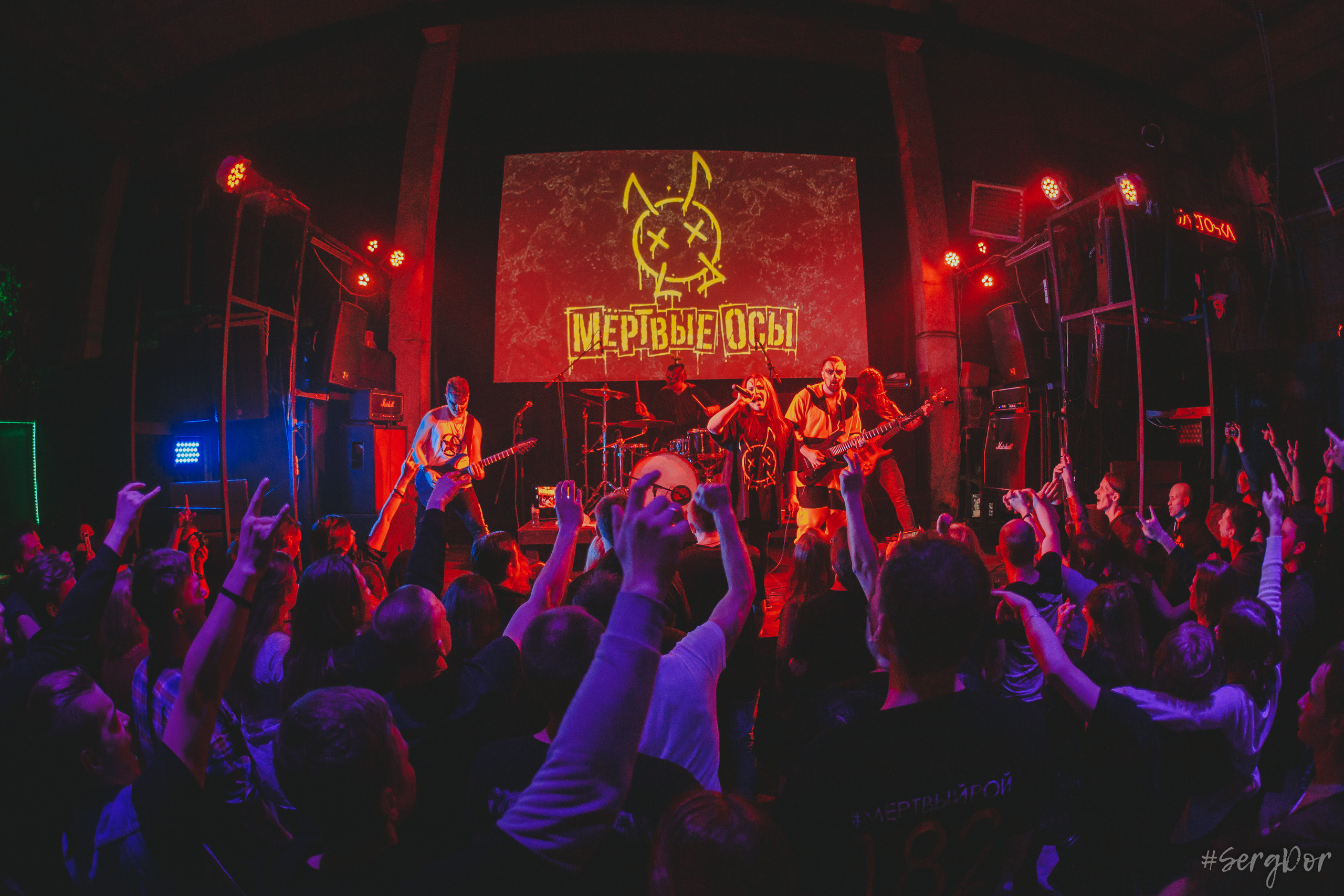 Мёртвые Осы, Ласточка, Санкт-Петербург, концерт, 11.03.2023, SergDor, 11 марта 2023 года, #SergDor