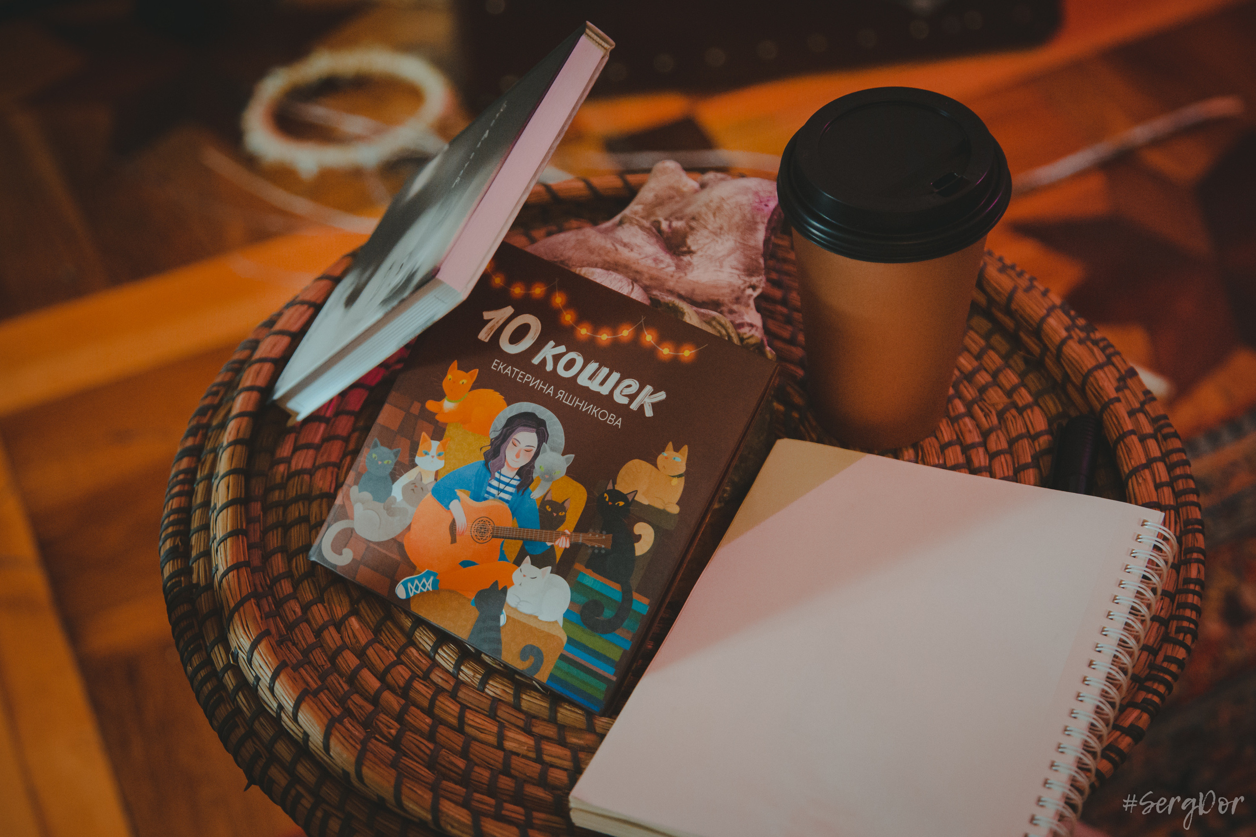 Екатерина Яшникова, Триглинки, Triglinki, акустика, квартирник, Санкт-Петербург, СПб, концерт, 21.01.2023, SergDor, 21 января 2023 года, #SergDor