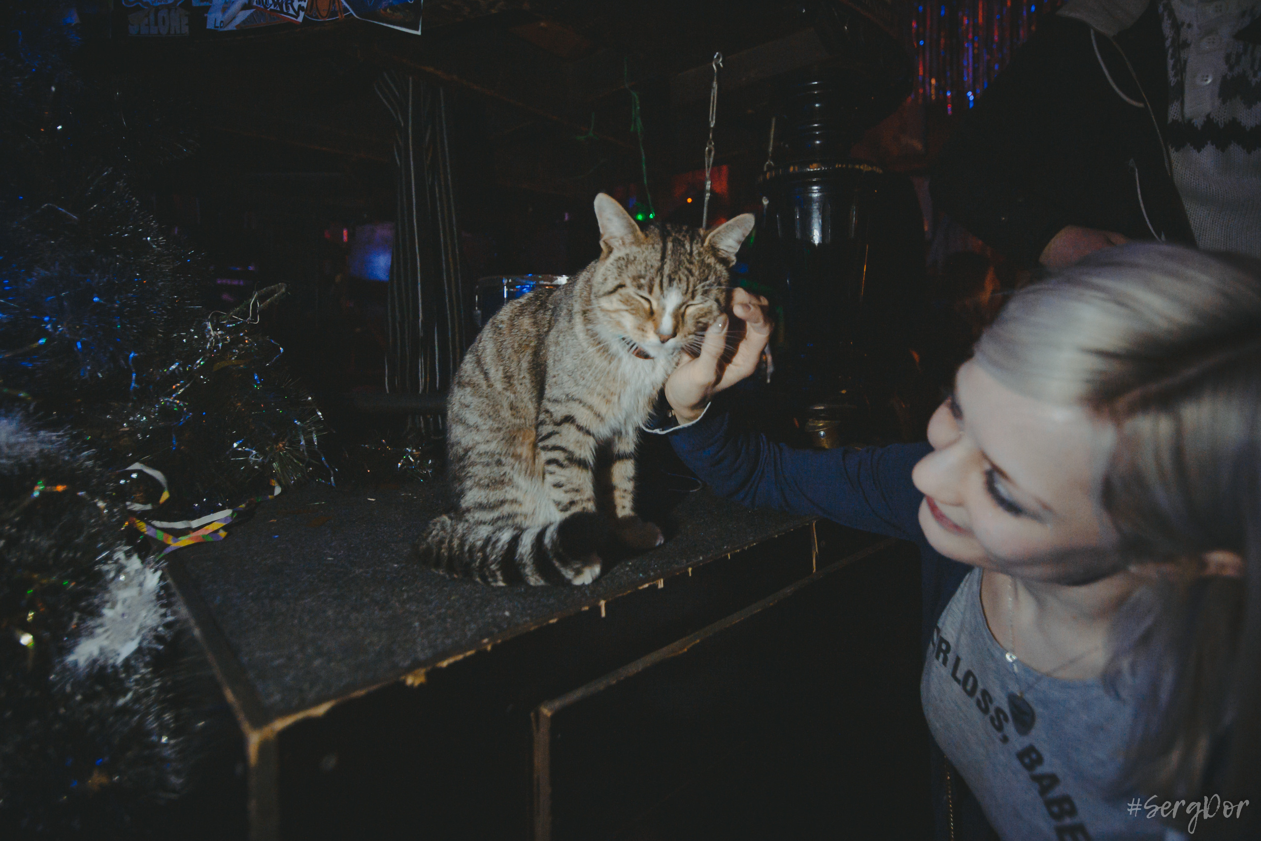 Наконечный, модный клуб Грибоедов, акустика, Лёва Сазонов, концерт, Санкт-Петербург, 06.01.2023, SergDor, 6 января 2023 года, #SergDor