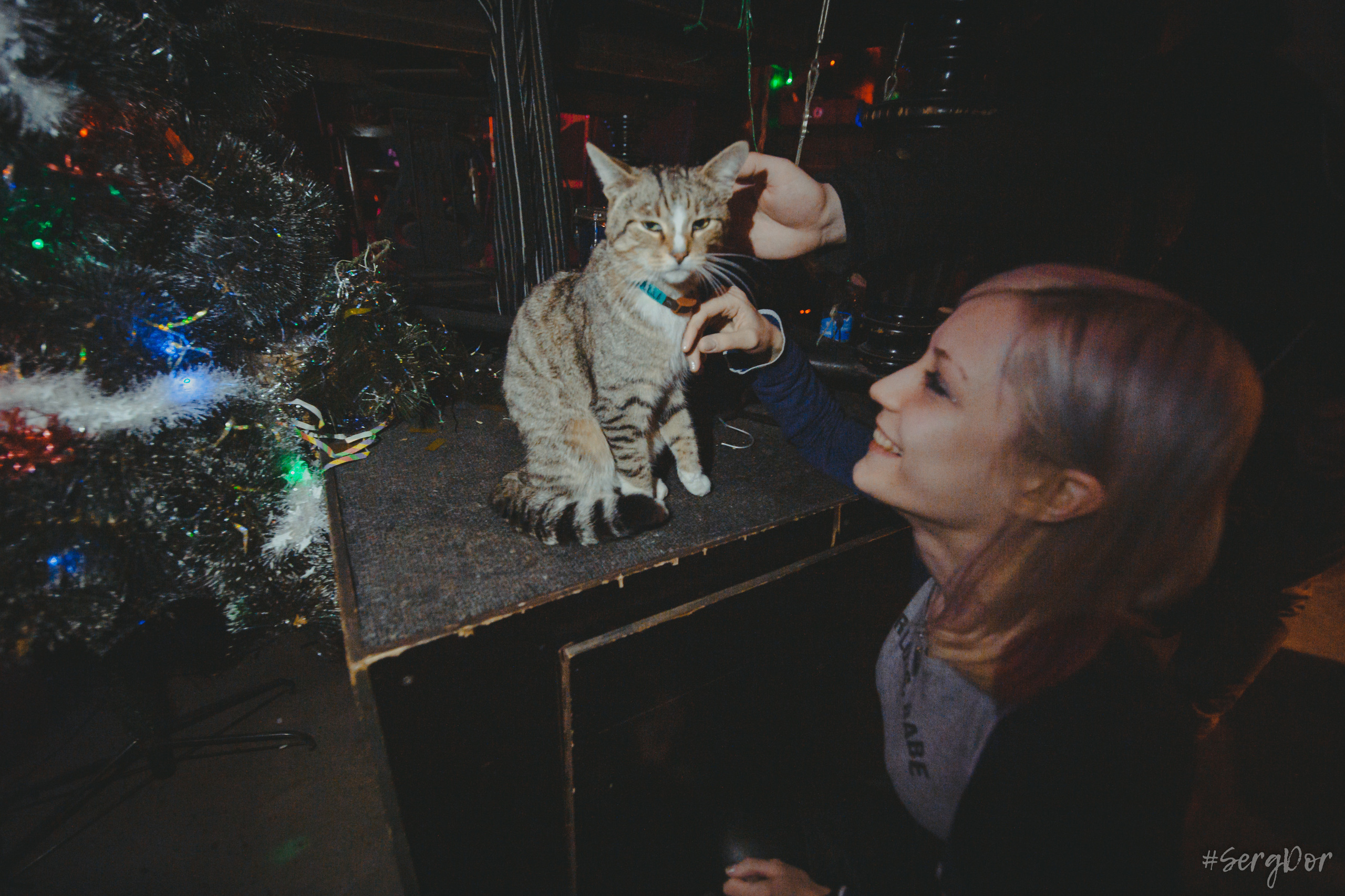 Наконечный, модный клуб Грибоедов, акустика, Лёва Сазонов, концерт, Санкт-Петербург, 06.01.2023, SergDor, 6 января 2023 года, #SergDor