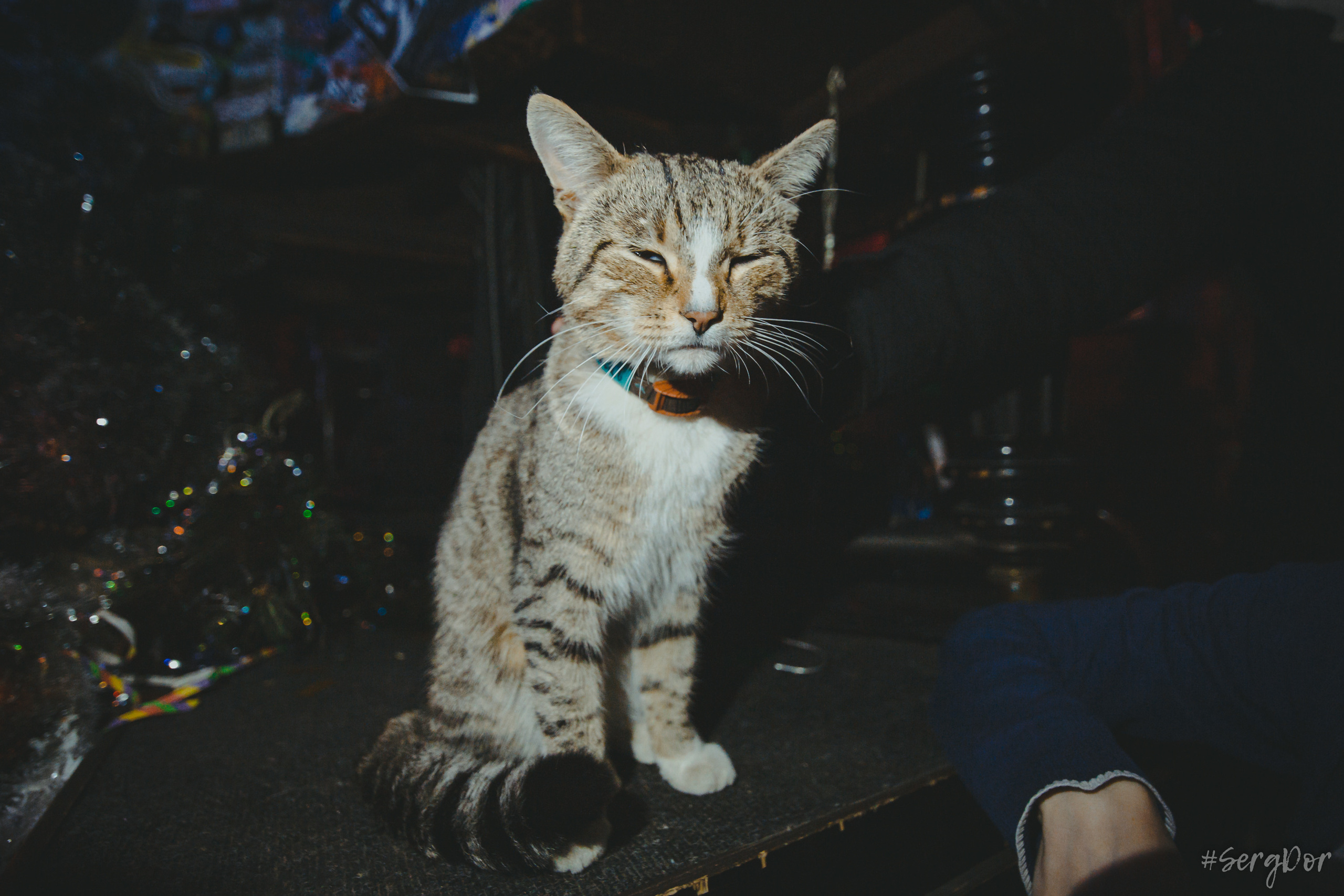 Наконечный, модный клуб Грибоедов, акустика, Лёва Сазонов, концерт, Санкт-Петербург, 06.01.2023, SergDor, 6 января 2023 года, #SergDor