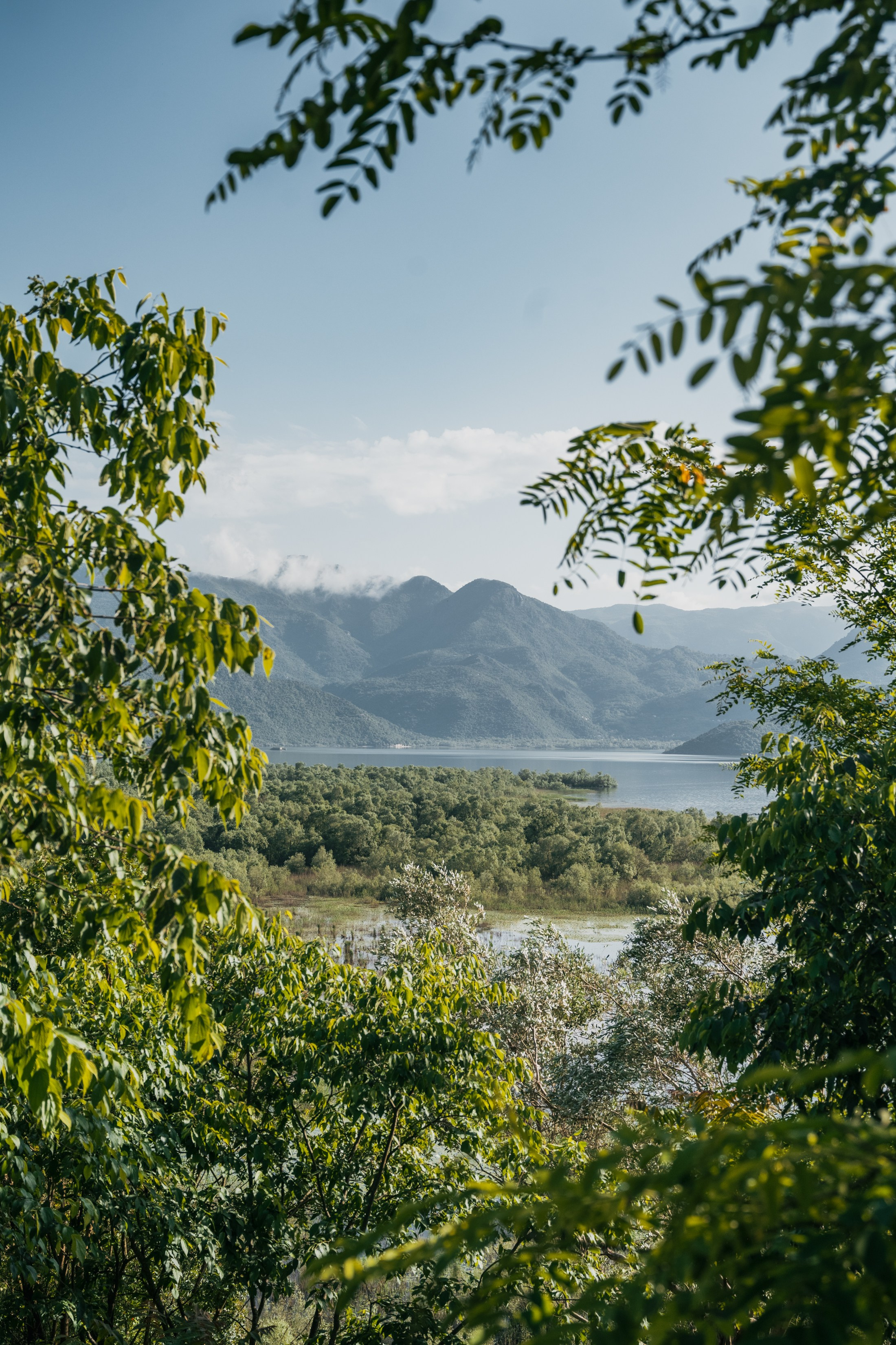СКАДАРСКОЕ ОЗЕРО. ЧЕРНОГОРИЯ. Фотограф в Белграде Чугреева Елена