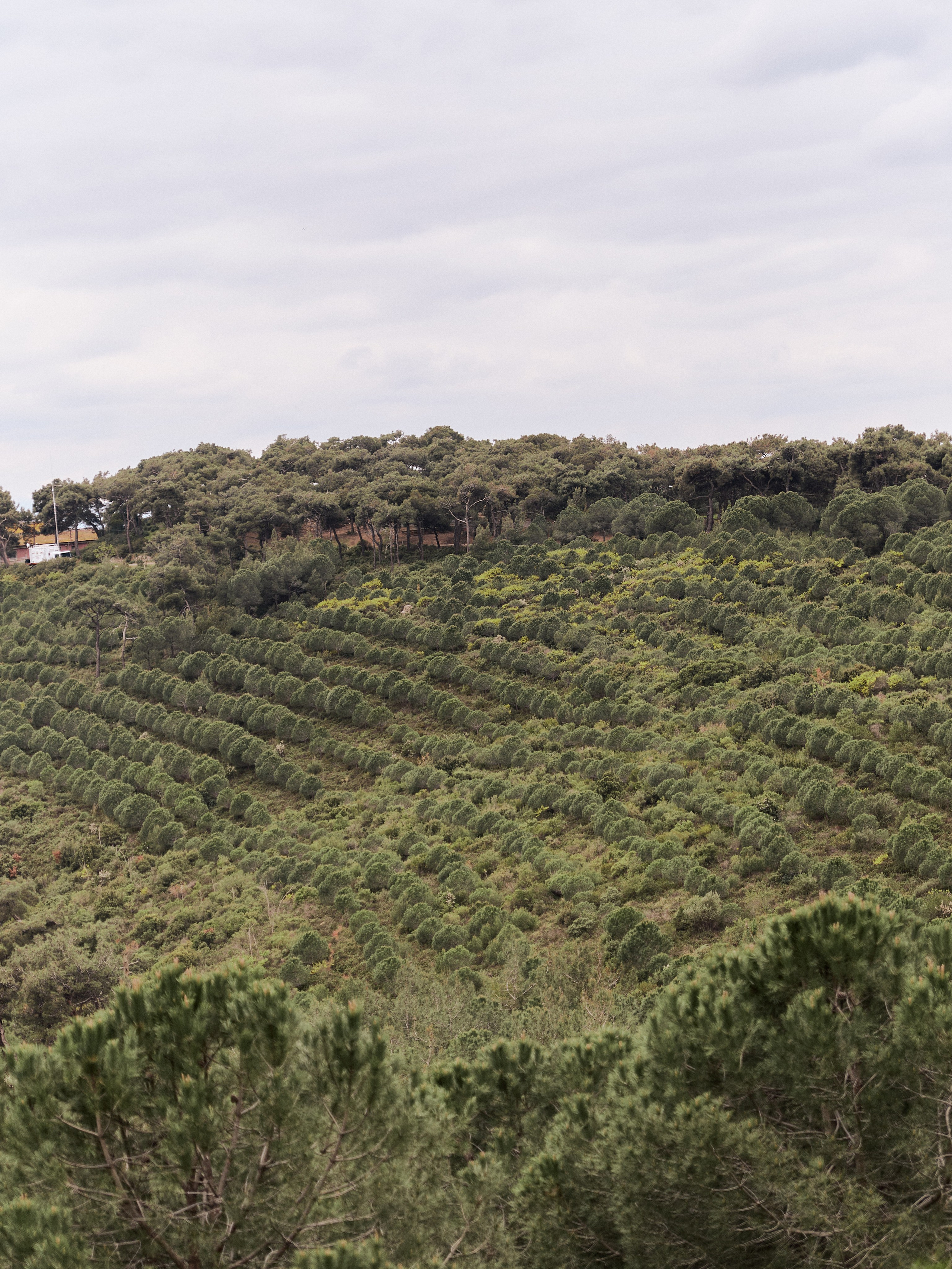 Другое 2. Jorgis Talè — photographer, kind person, teacher of arts and other mag