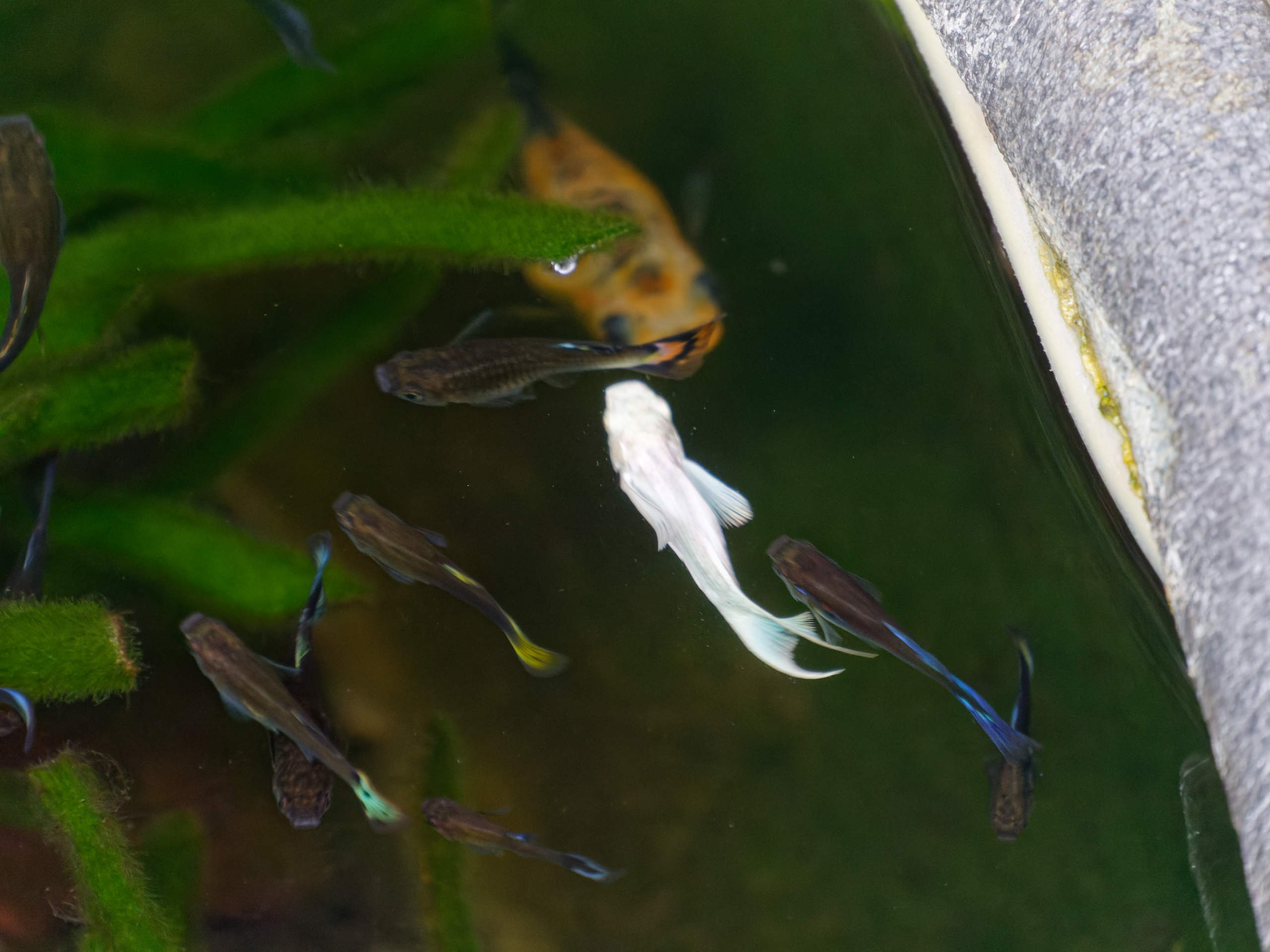 Нячанг 2025 (4). Избранные фотографии