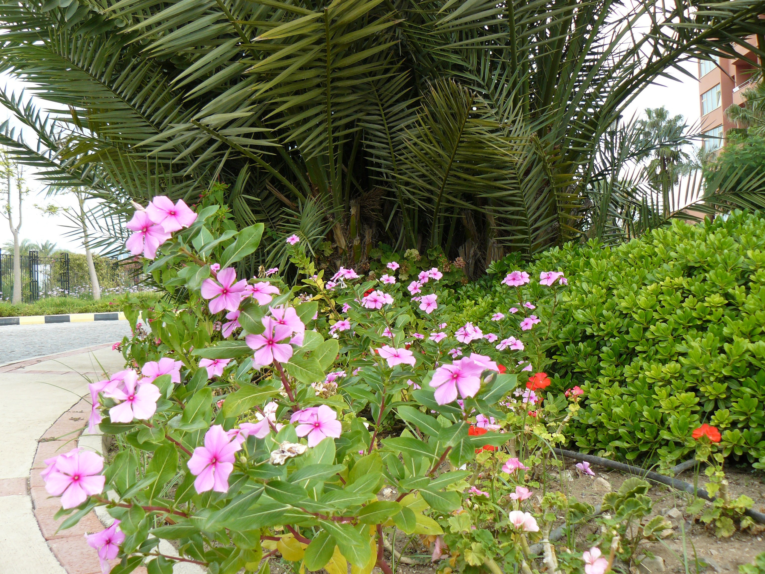 Кемер, Чамьюва 2008. Избранные фотографии