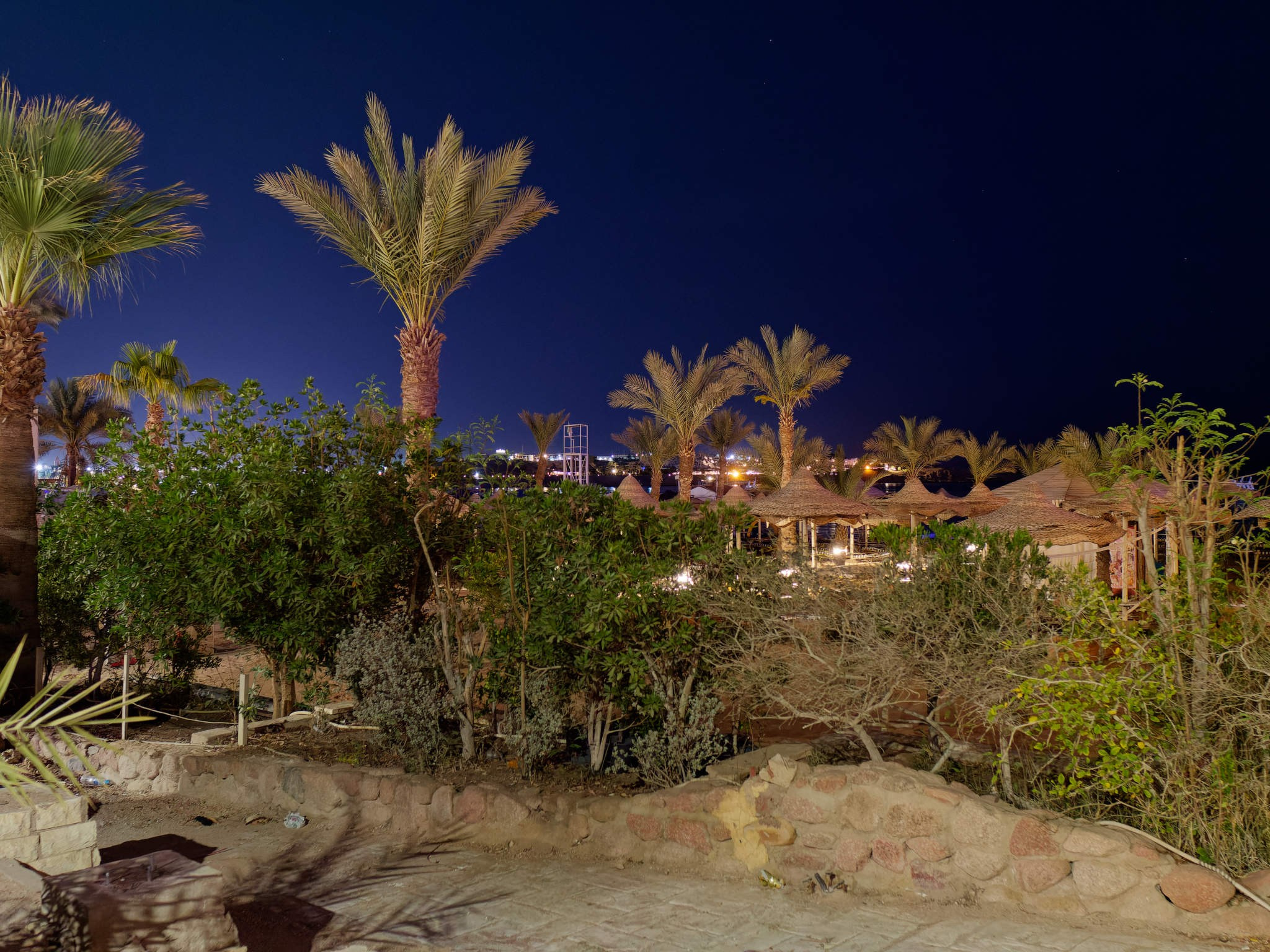 Шарм-эль-Шейх 2024. Избранные фотографии