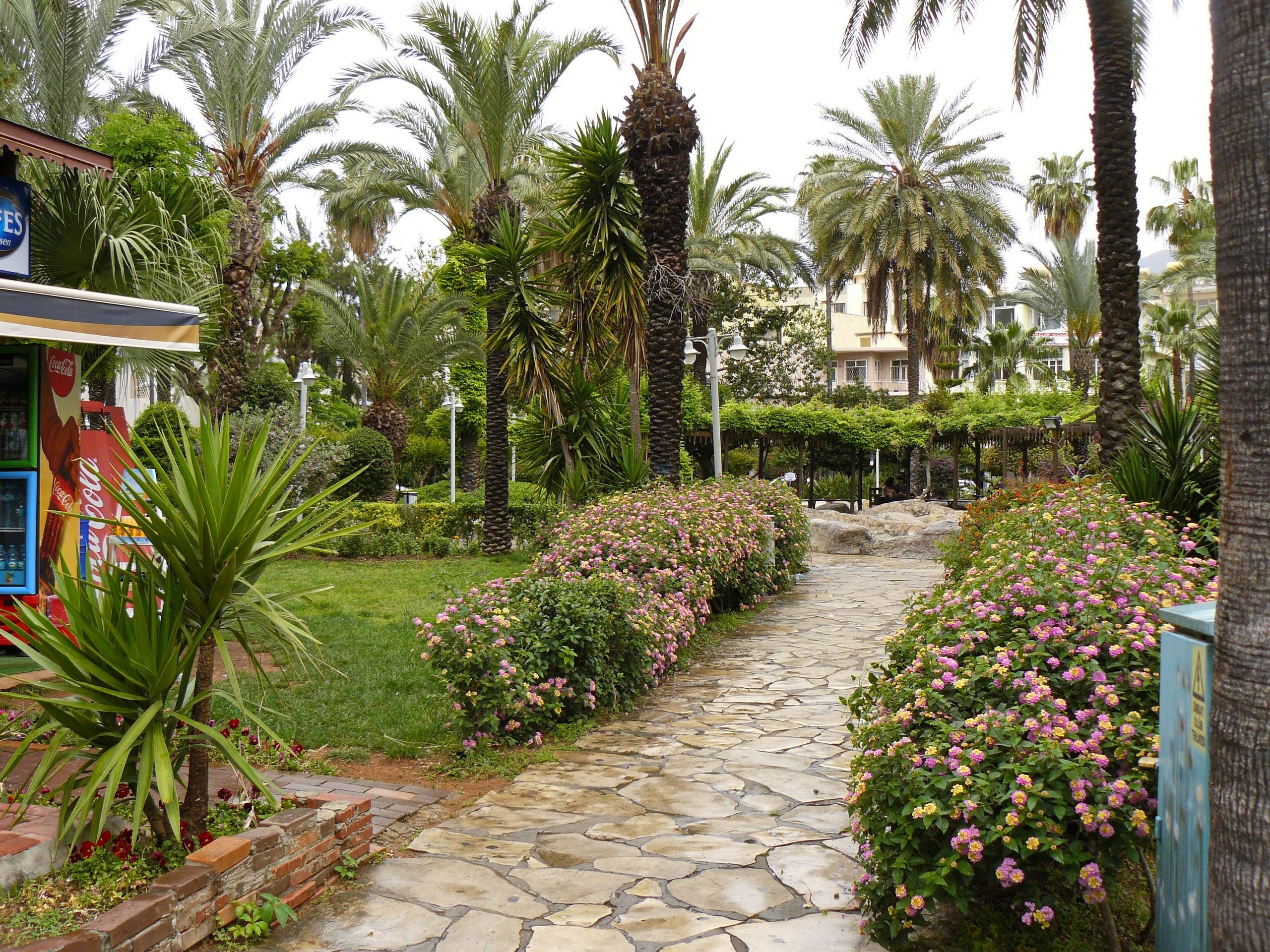 Алания 2014. Фотопрогулки по Миру