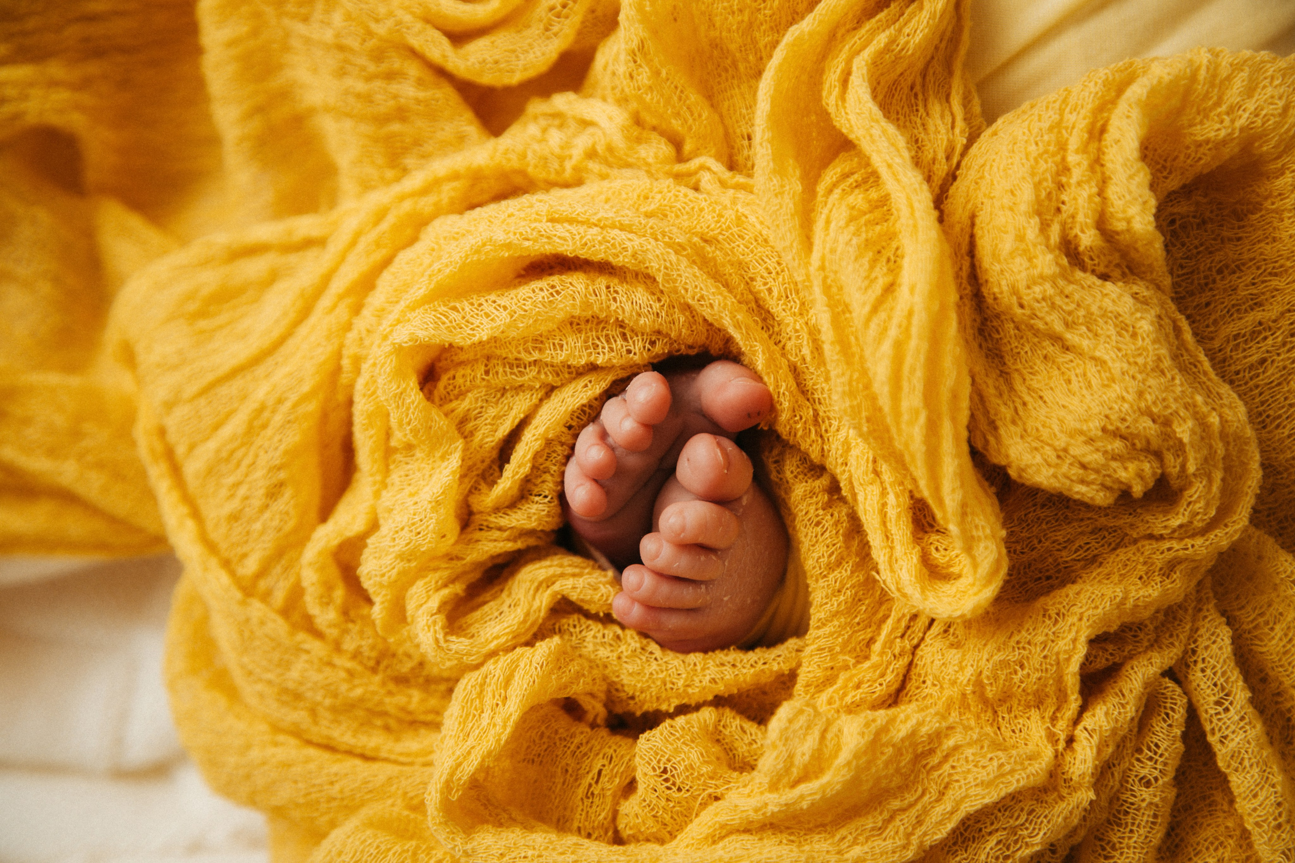 Василиса, пакет «Комфорт», 9 дней. Фотограф новорождённых Екатерина Боброва. Ульяновск