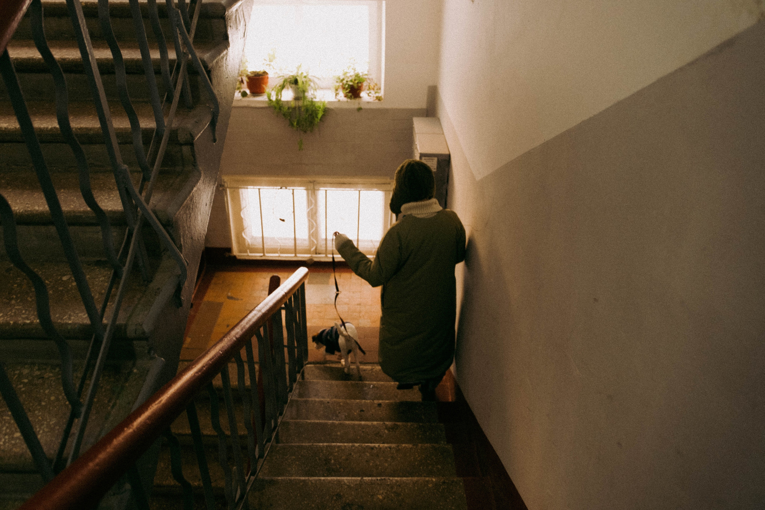 Лика и Клео. Свадебный фотограф Оля Григунова