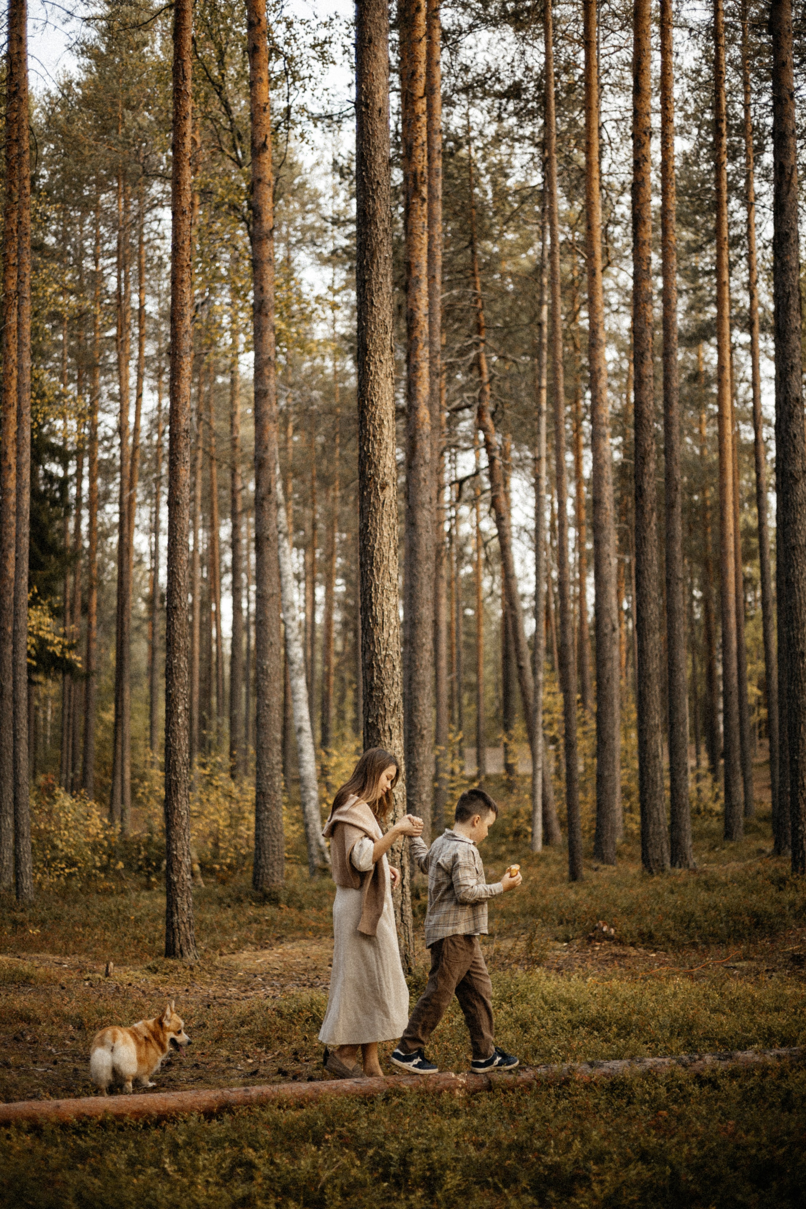 Ksenia and Dani. Alex Vasina Photographer