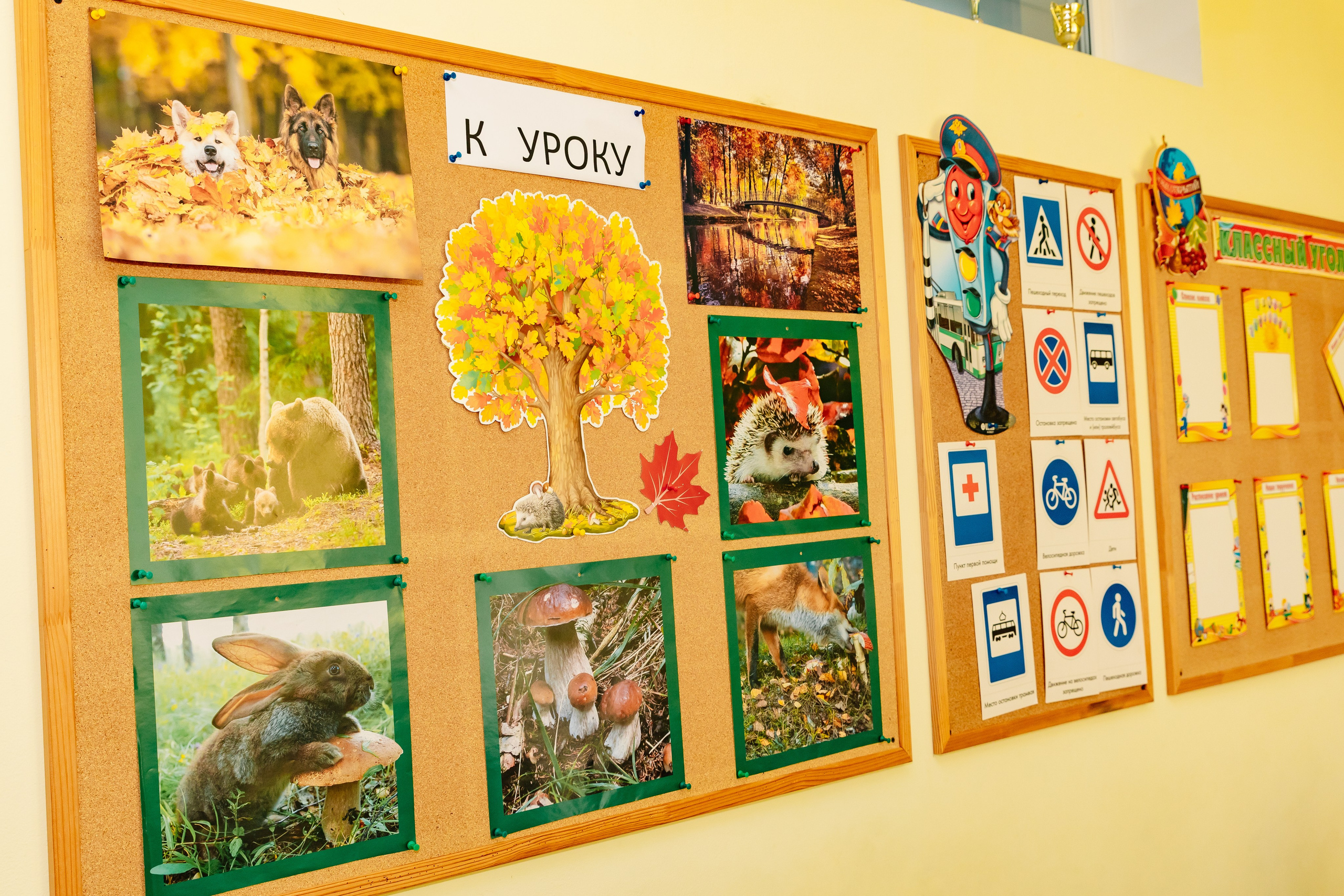 Линейка 1Б Школа Права и Экономики. Фотограф в Москве Яна Полосина