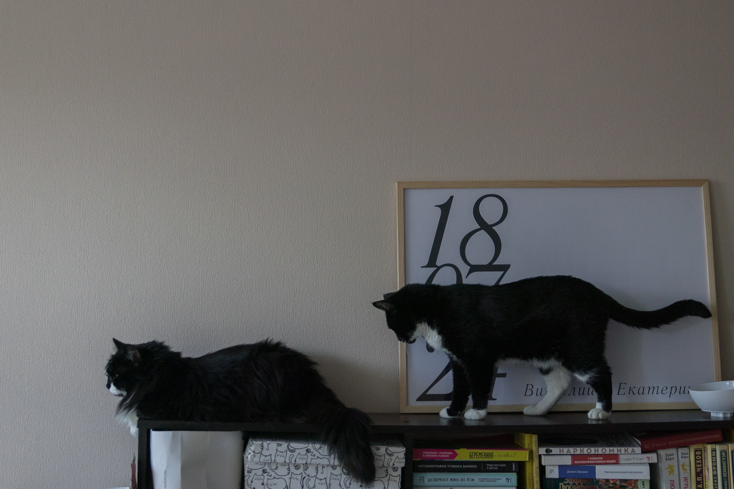 Виталик & Катя. Wed Photographers 📷 Saint Petersburg