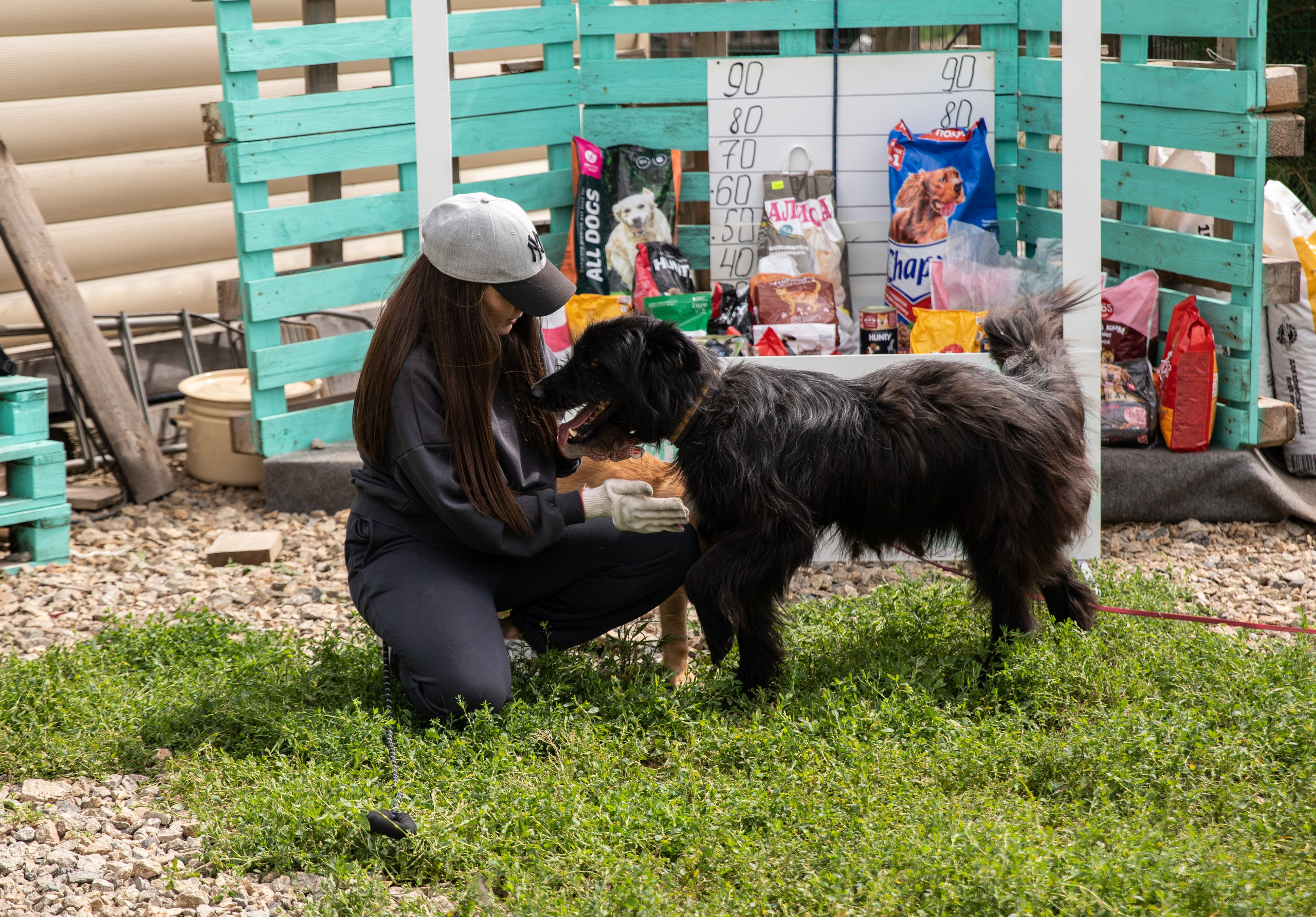 Приют — Наш дом. Репортажный и свадебный фотограф в Челябинске Елисеев Павел