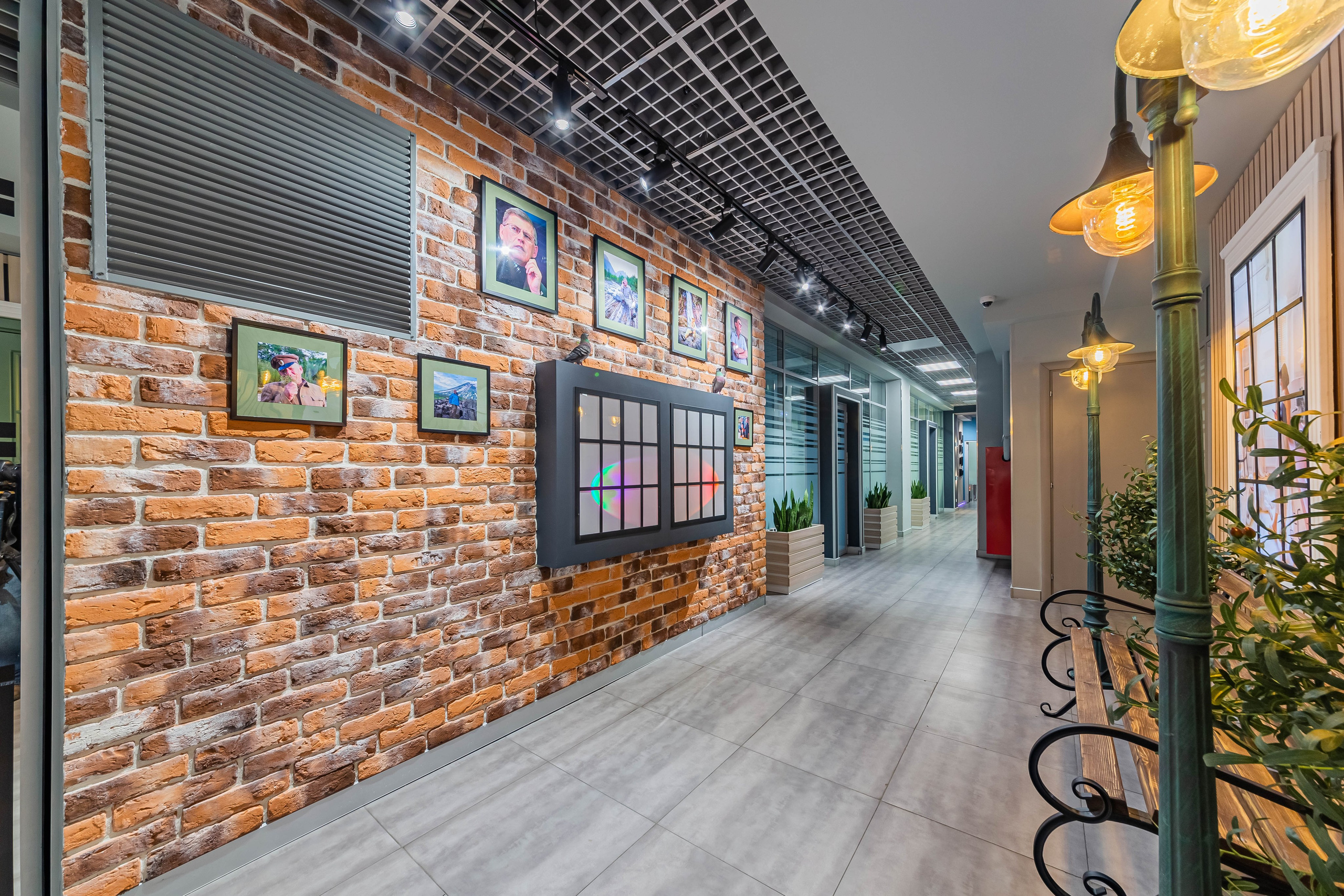 Сокол. Фотограф Лагутин Анатолий