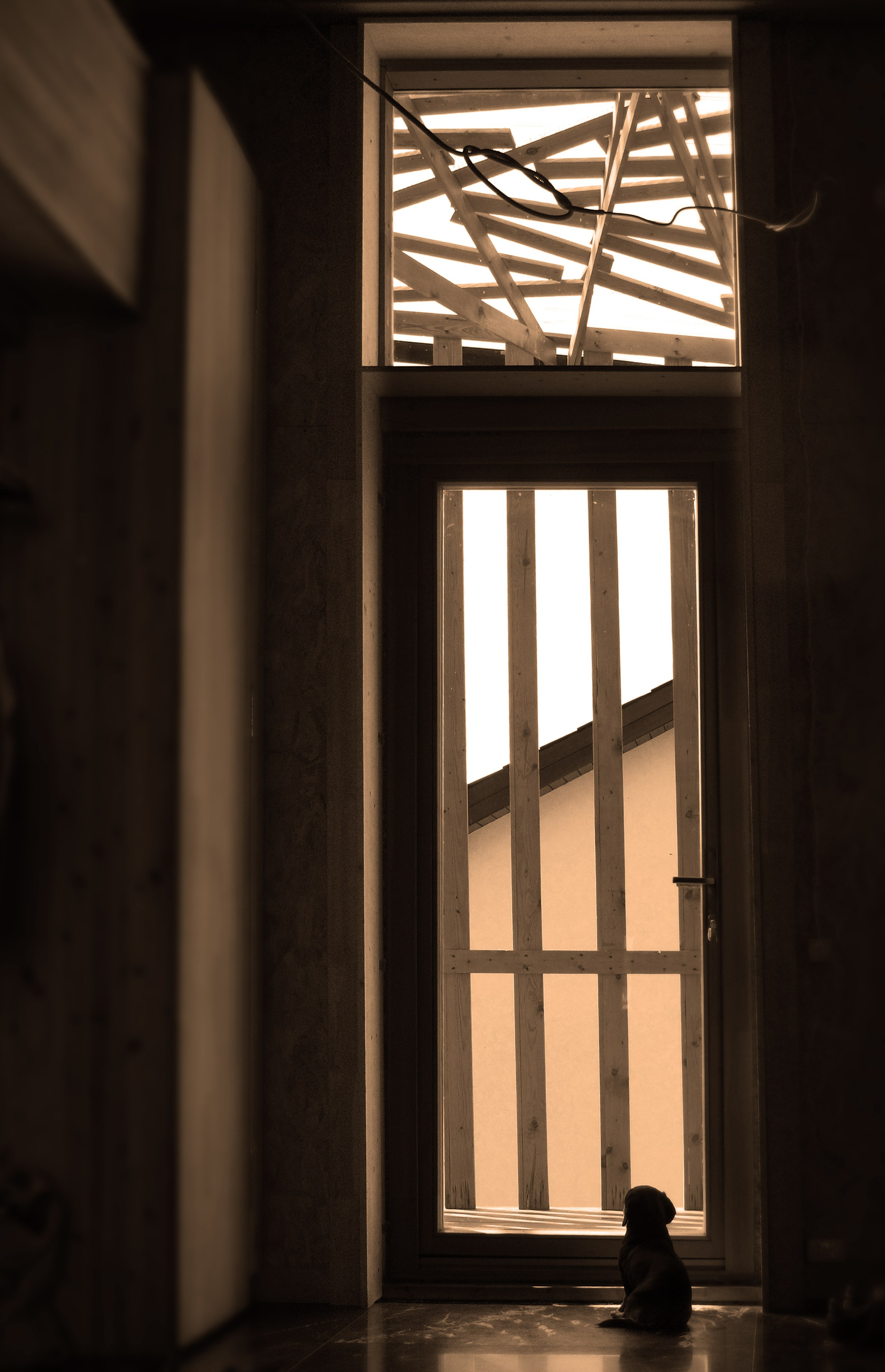 Жанр. Фотограф Лагутин Анатолий