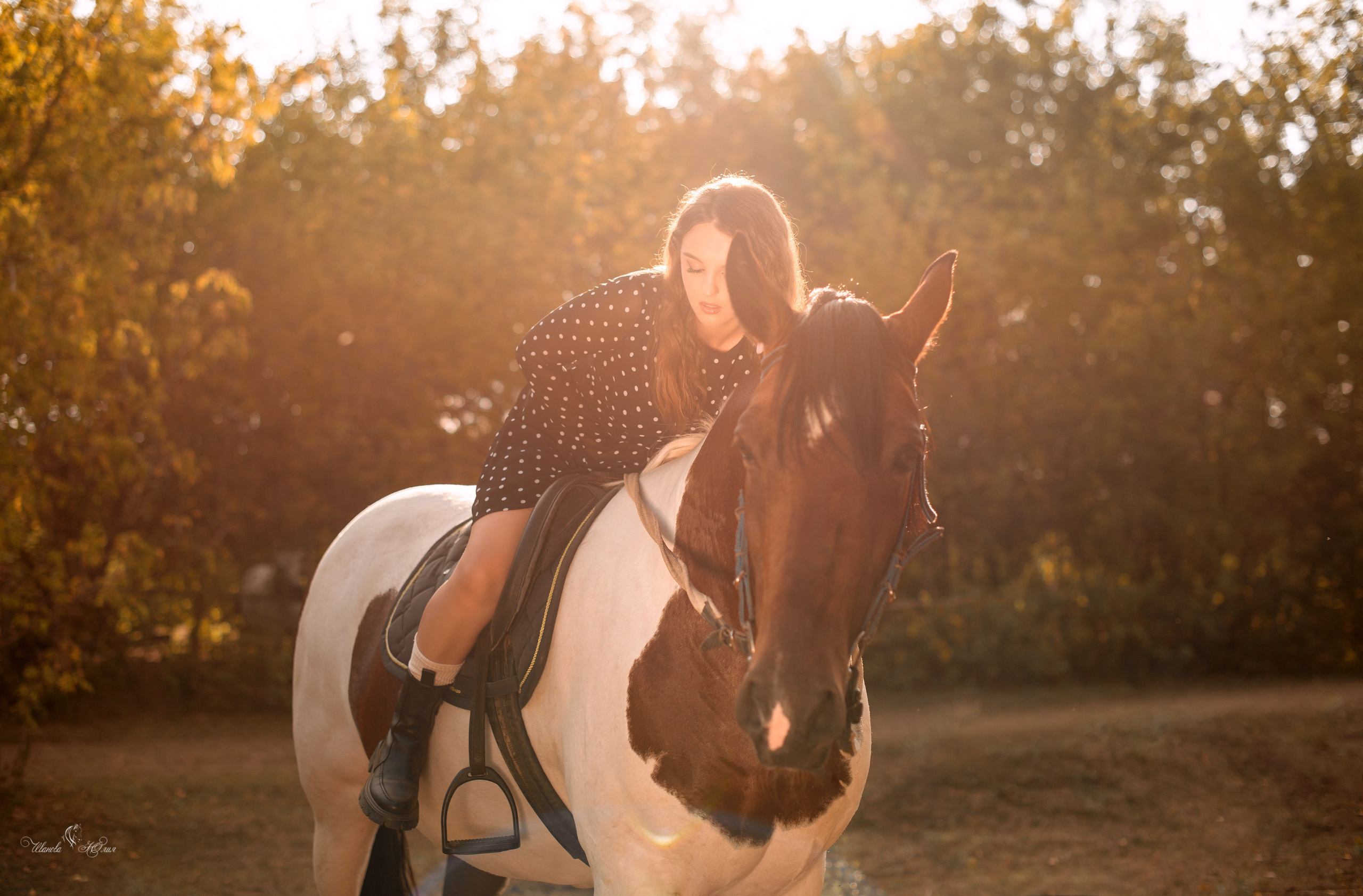 Владимир и Мария, Бугульма и Майя. Конный фотограф в Саратове Юлия Иванова