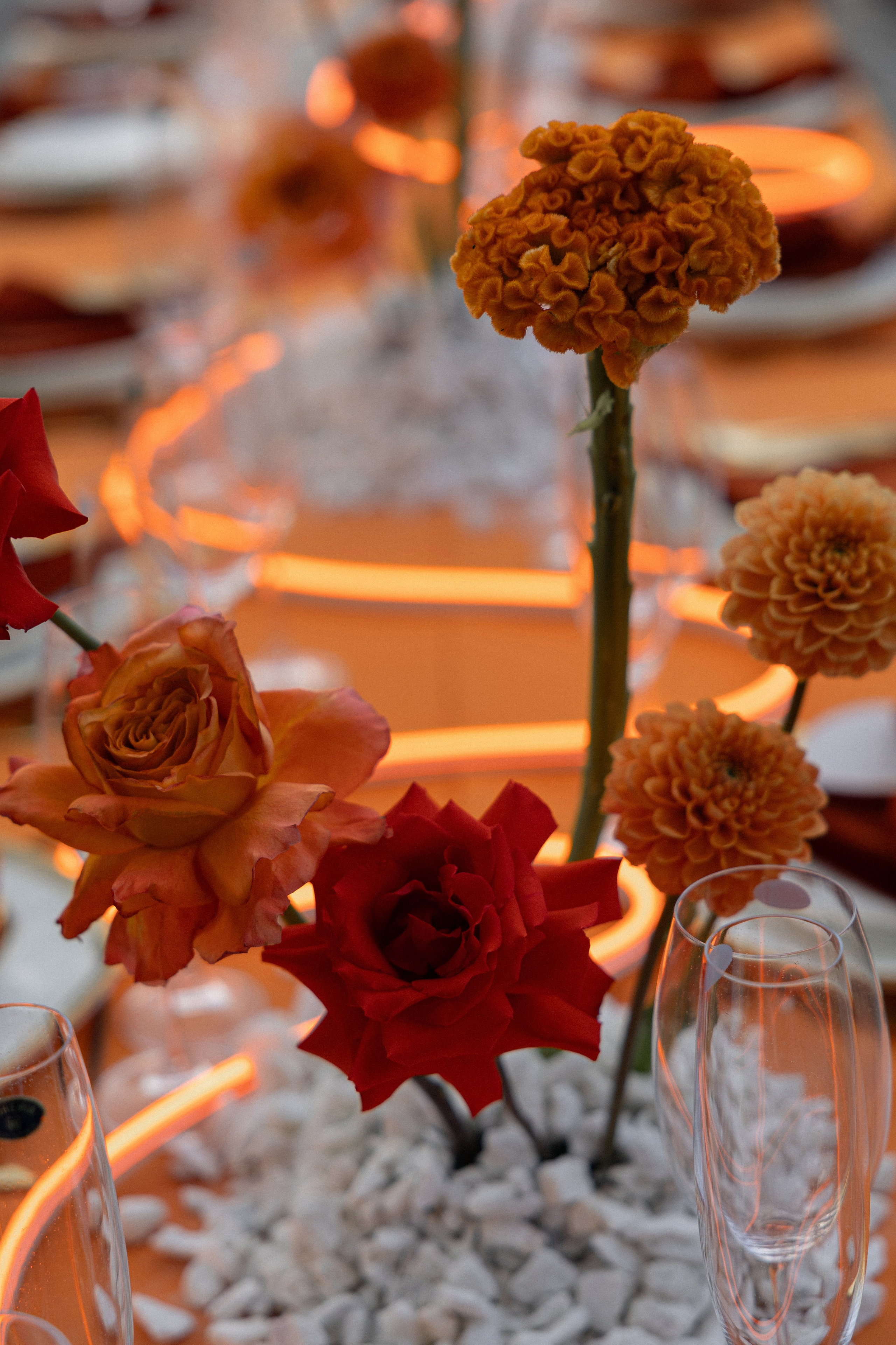 Dmitry & Maria. Вебер Юлия фотограф Ростов-на-Дону