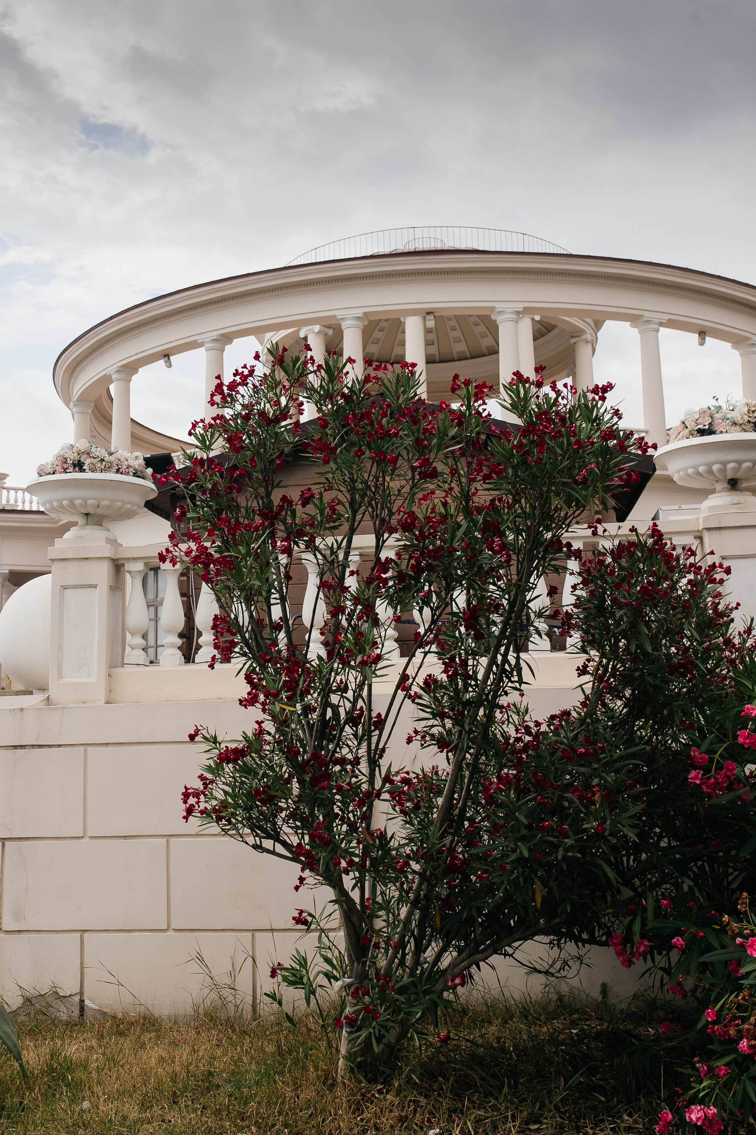 Sigma Fashion Show. Сочи 2024. Фотограф в Ростов-на-Дону Виктория Савчук