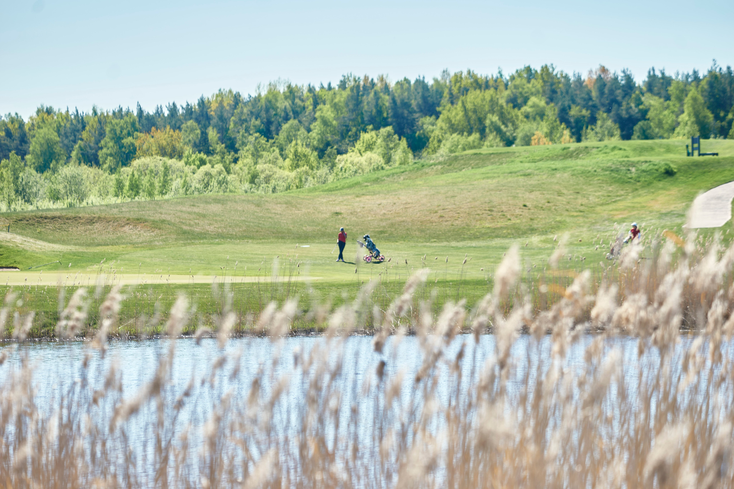 PETERGOF CUP2024. Фотограф Наталья Леонова
