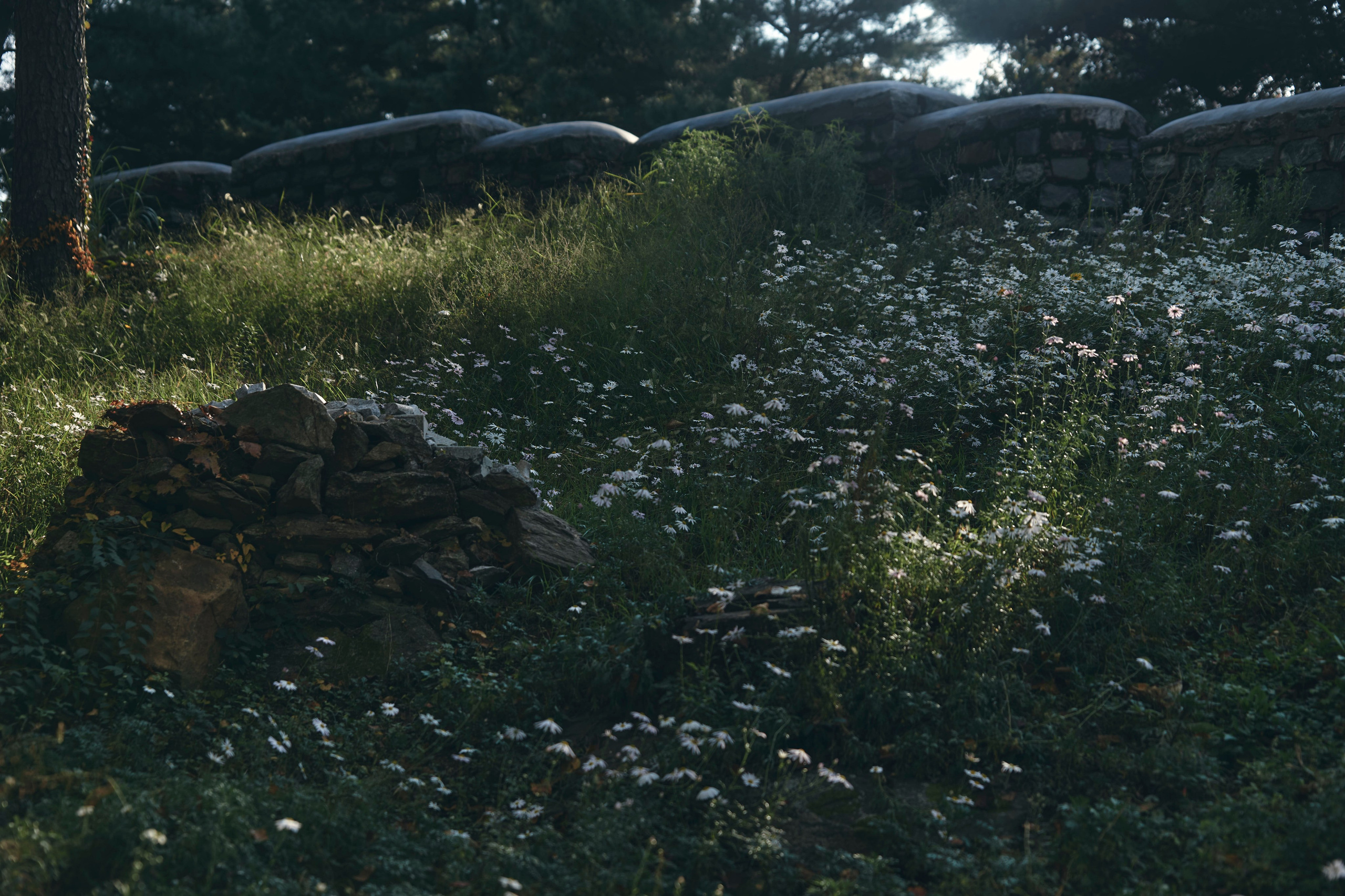 TRAVEL. Фотограф Наталья Леонова