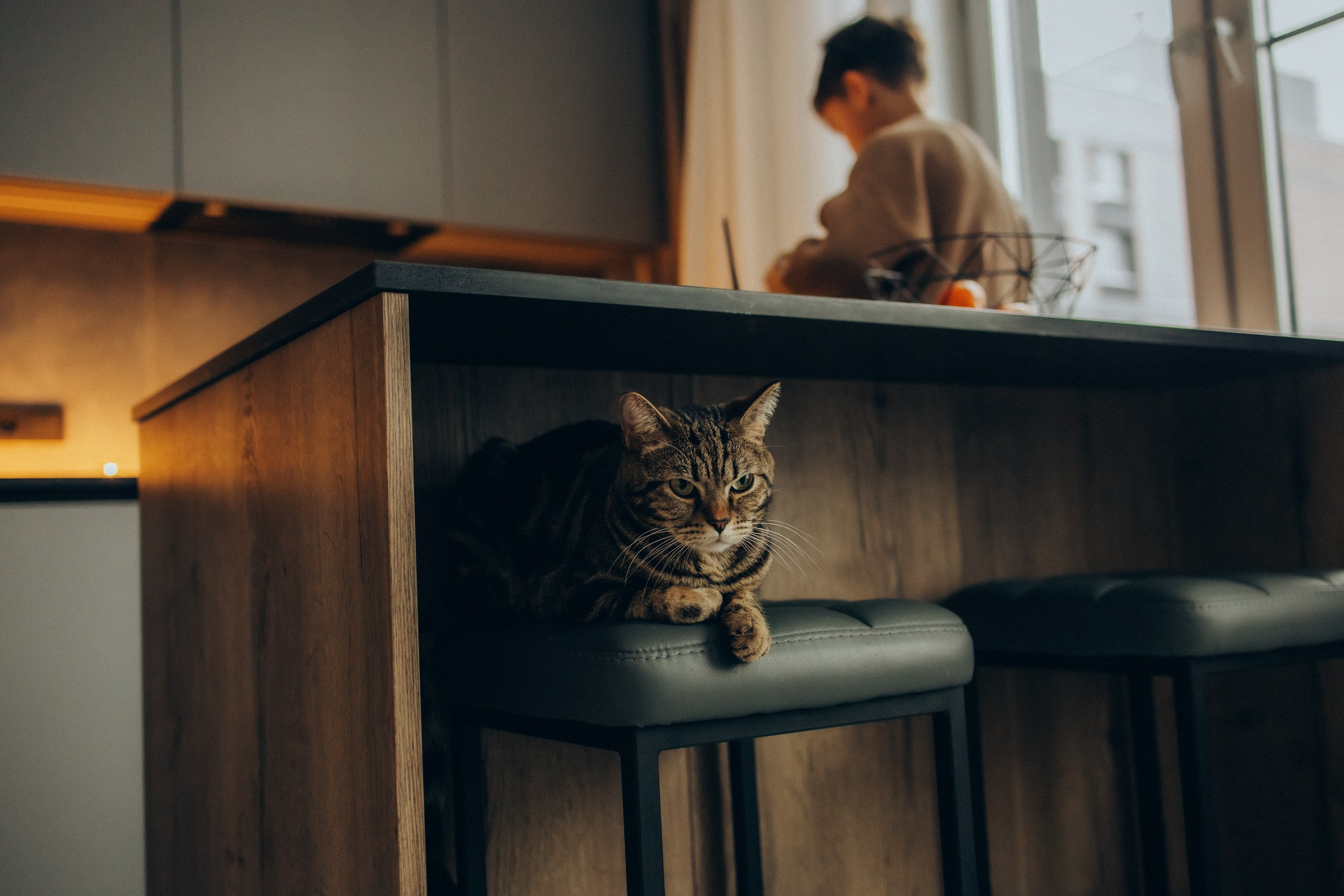 Руслан, Тимур и Луна. Семейный фотограф Москва