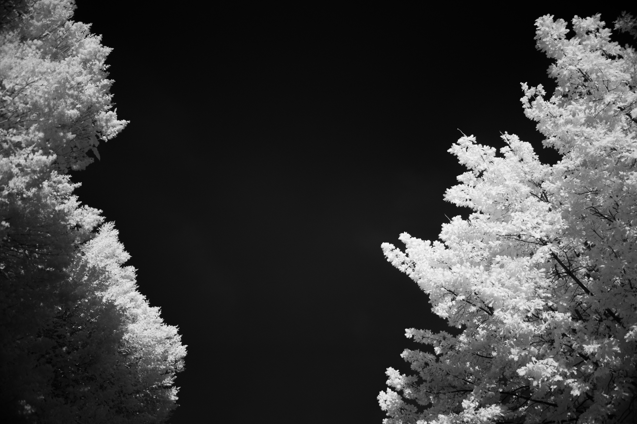 Infrared mono. AThumbnails