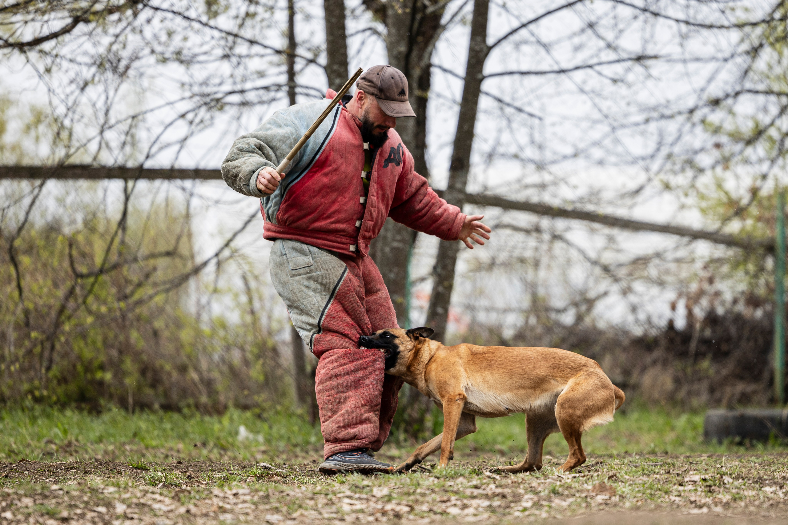 Квалификационные состязания по мондьорингу г. Вологда 11.05.24. Фотограф-анималист Анна Маринич