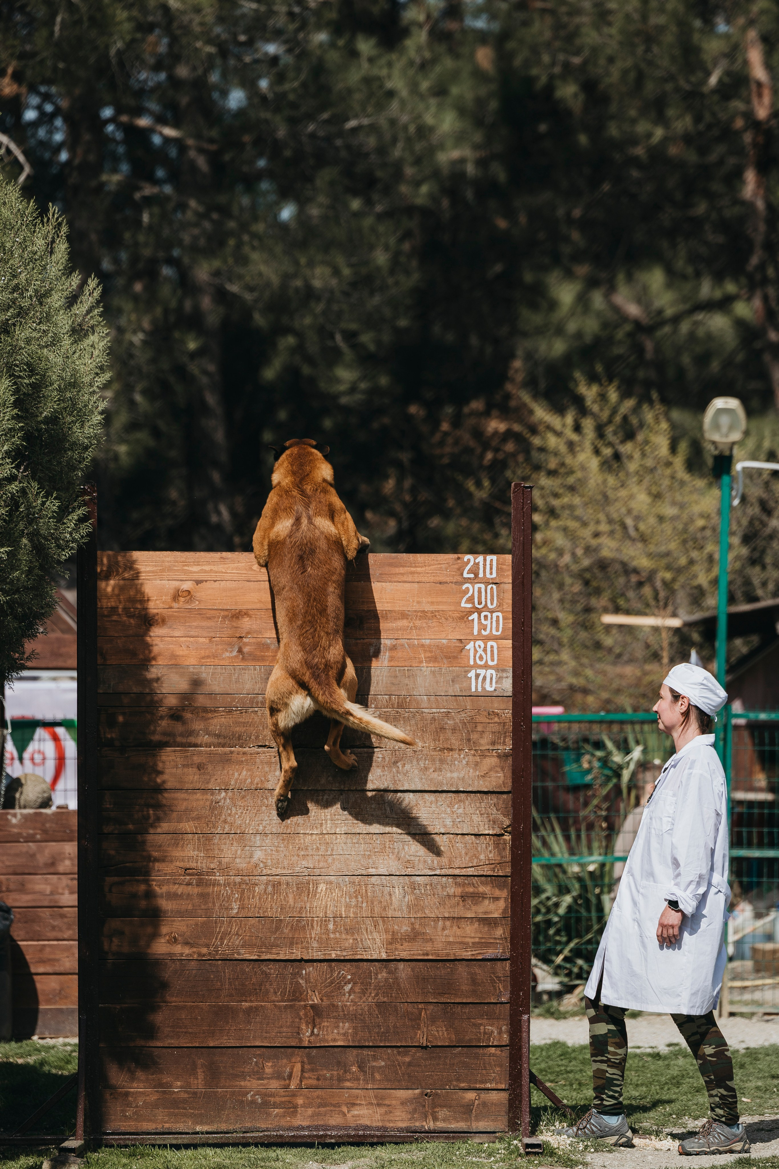Геленджик Мондьоринг. Фотограф-анималист Анна Маринич