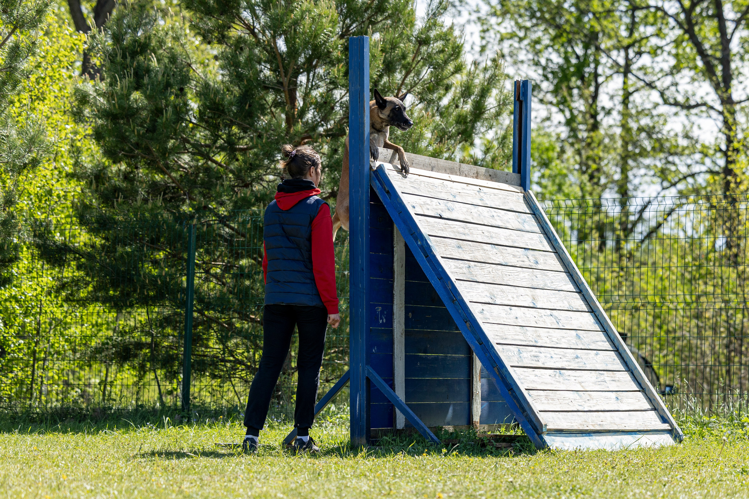 Испытания по мондьорингу в Нижнем Новгороде. Фотограф-анималист Анна Маринич