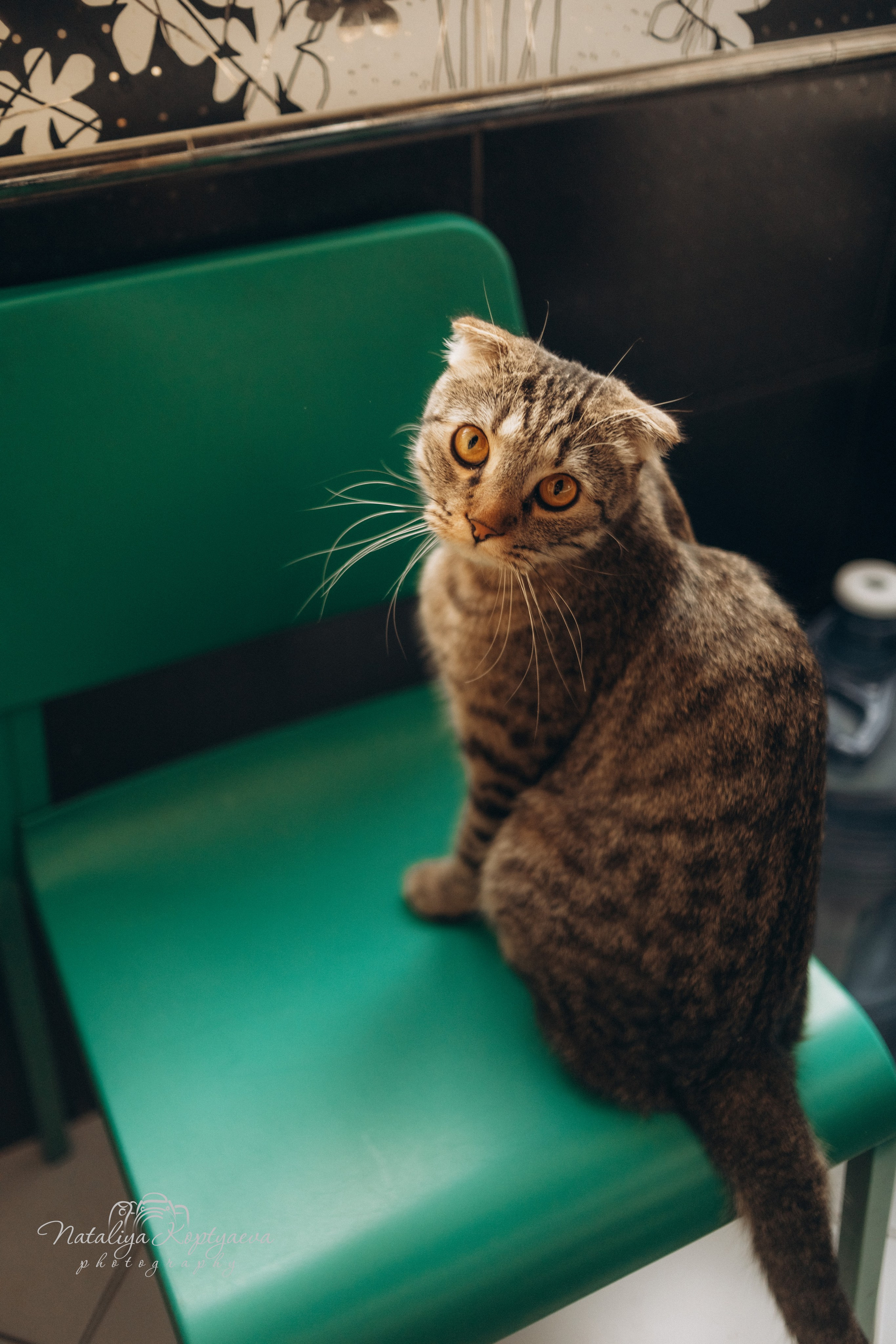 Семейный фотограф Марьино Москва. Ретушь новорожденных, обучение ретуши новорожденных, Наталия Коптяева