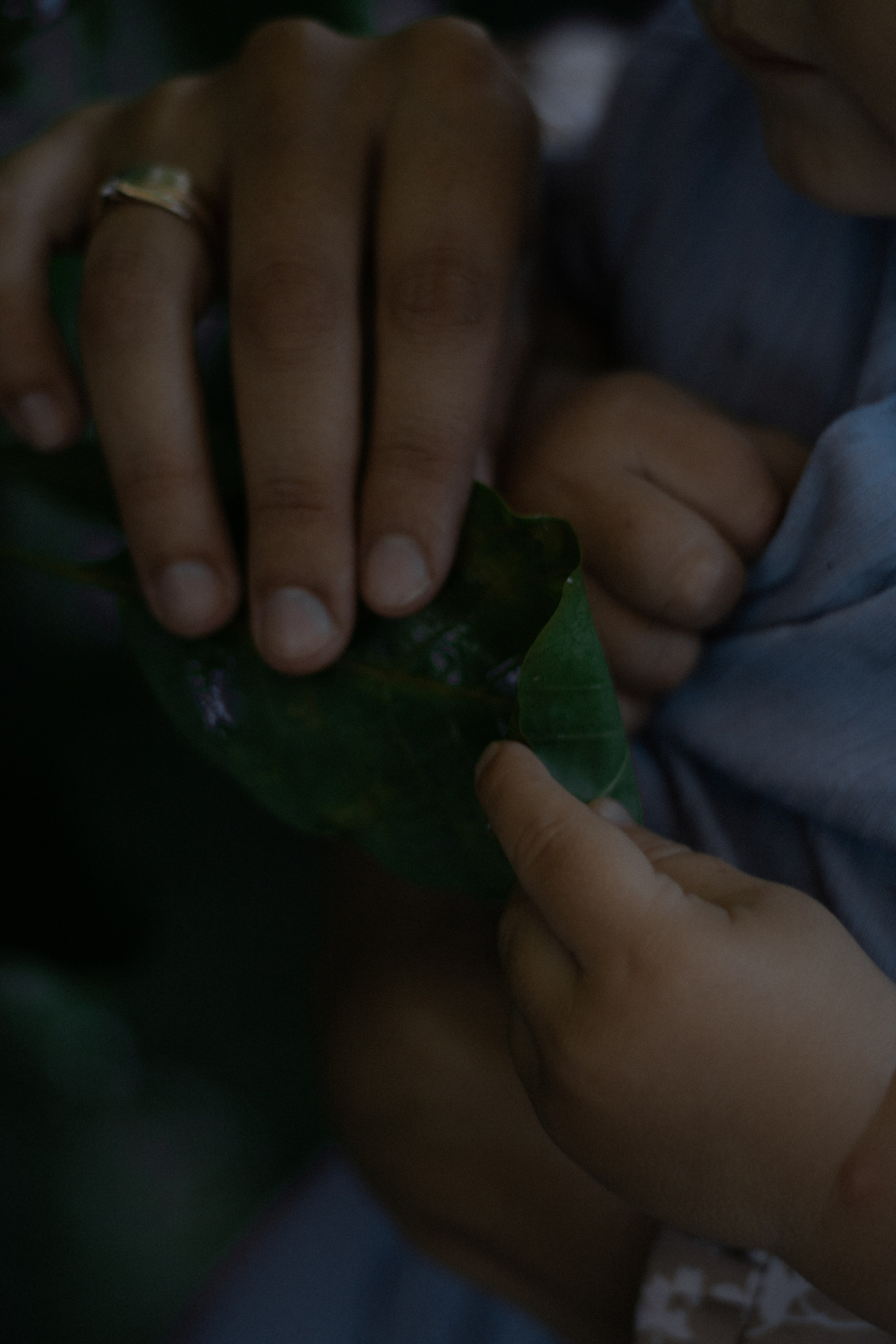 Nastya + Ivan + Fedya. Lusy Redina | Семейный Фотограф | Волгоград