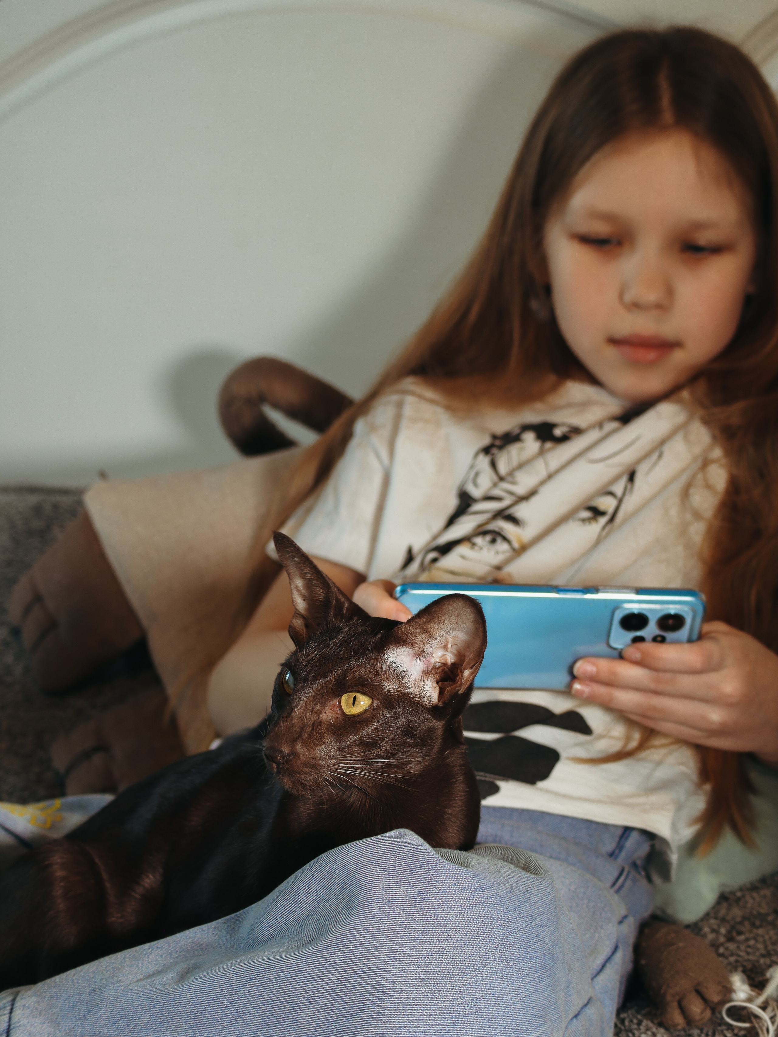 Питомцы. Кинематографичный фотограф, видеограф Лина Плешакова, Санкт-Петербург