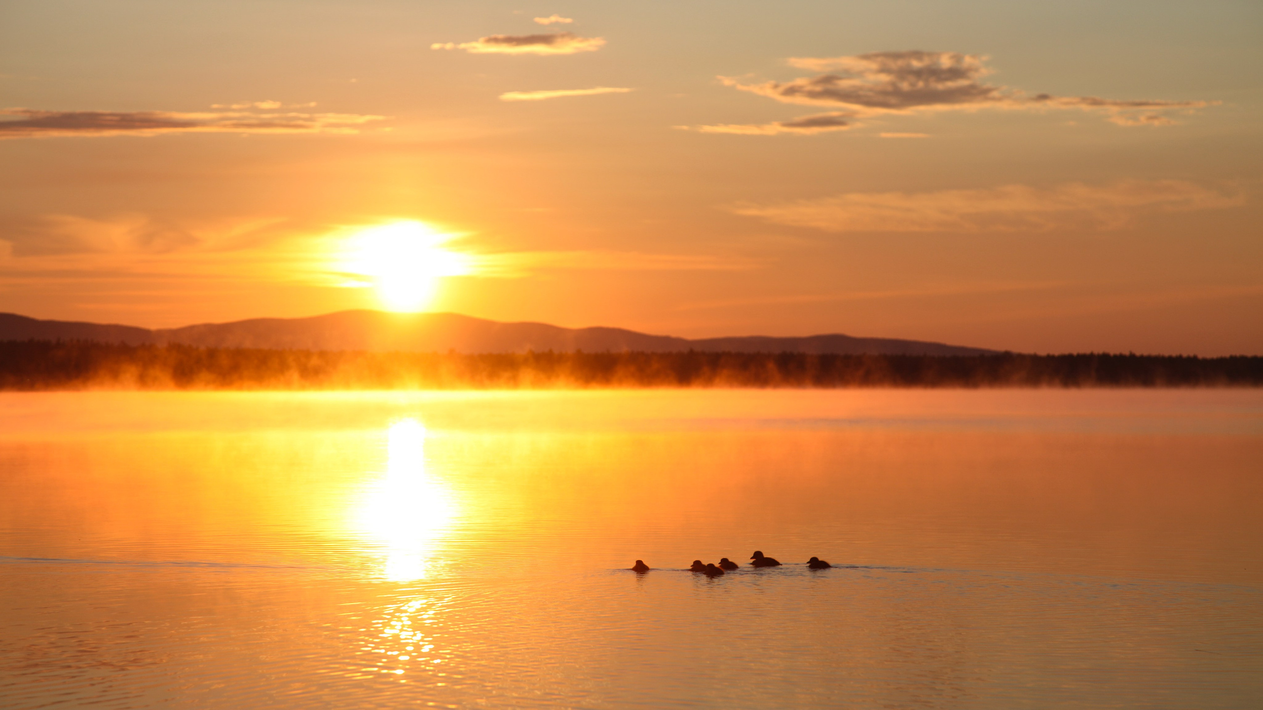 Фото Природы Забайкалья. Студия Максима Белослюдцева